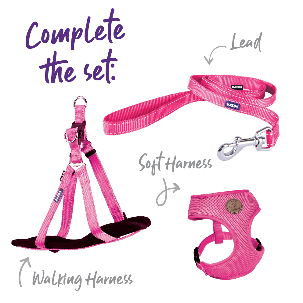 Classic Dog Lead - Pink - Image 8