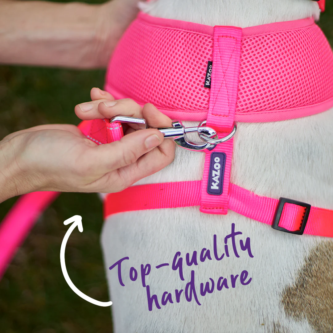 Classic Dog Lead - Pink - Image 9