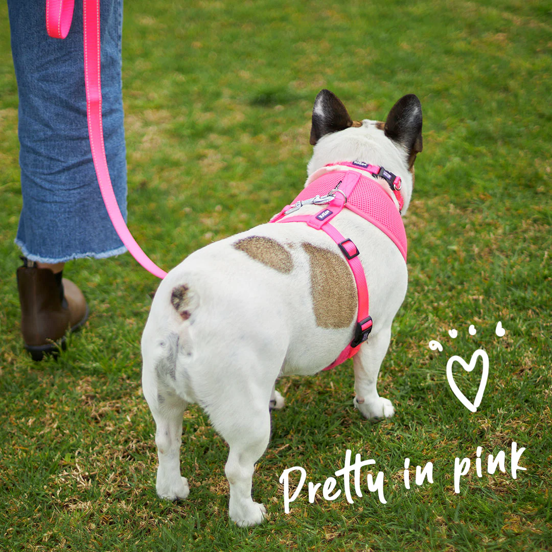 Classic Soft Walking Dog Harness - Pink - Image 10