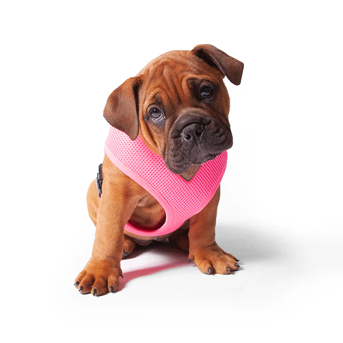 Classic Soft Walking Dog Harness - Pink - Image 6