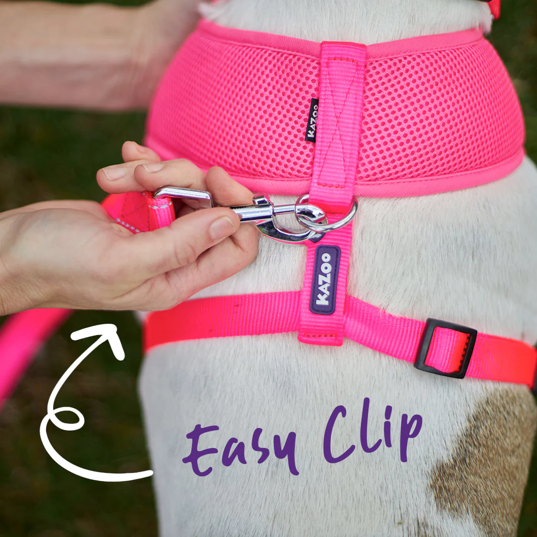 Classic Soft Walking Dog Harness - Pink - Image 8