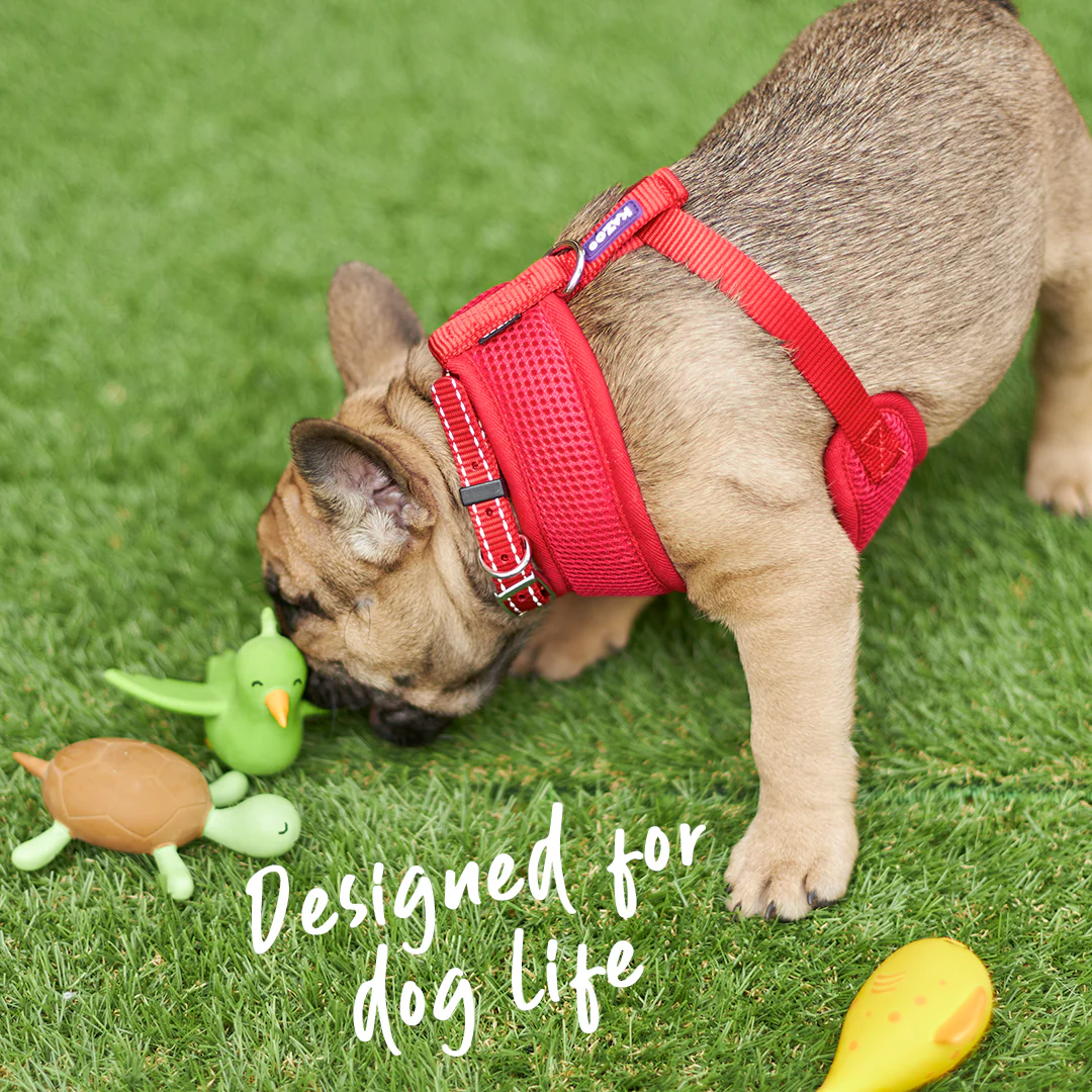 Classic Soft Walking Dog Harness - Red - Image 6