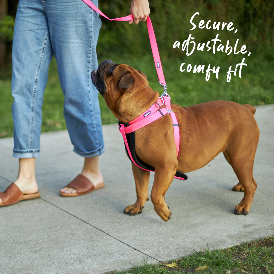 Classic Walking Dog Harness - Pink - Image 4