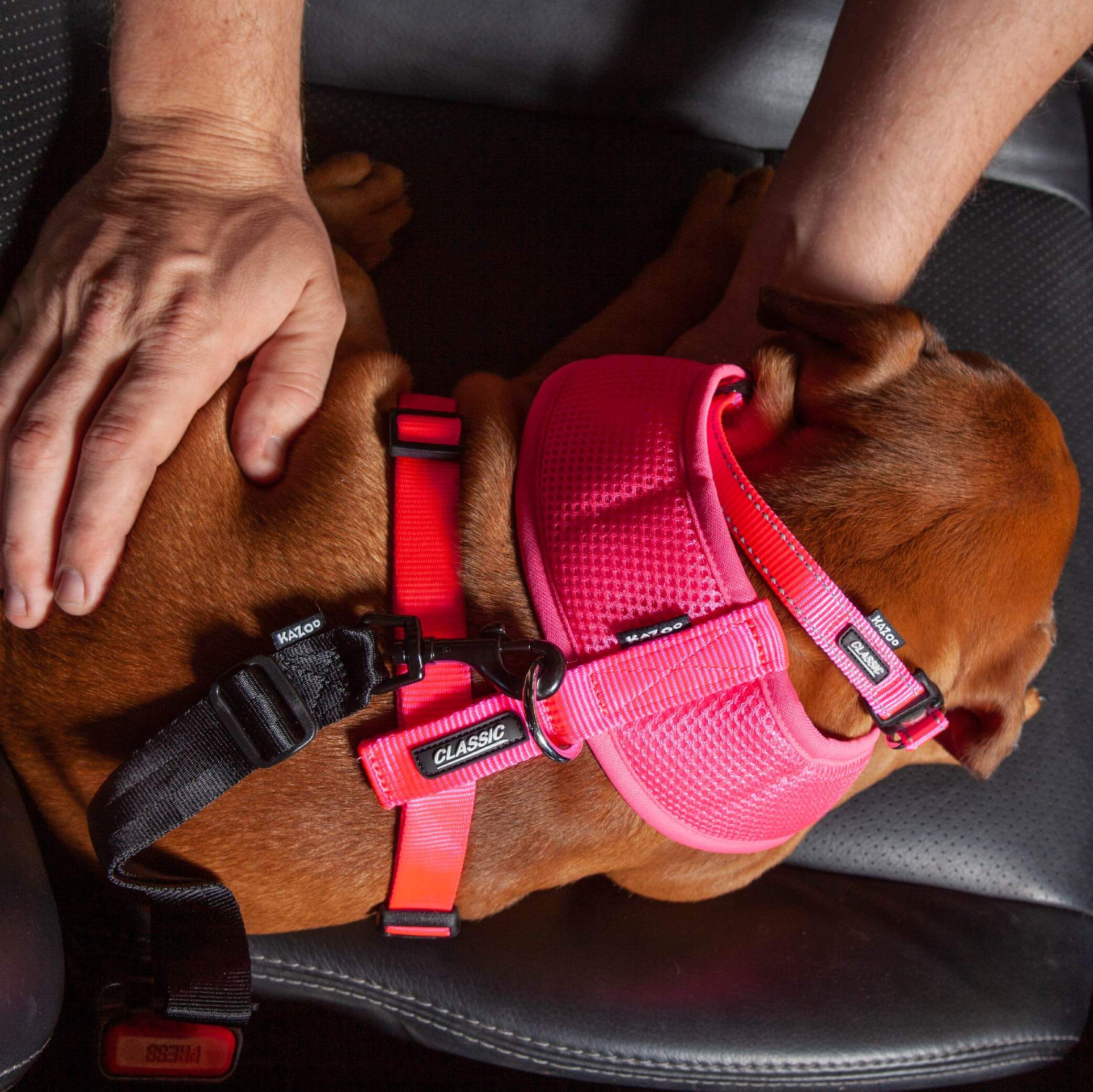 Click Clack Seatbelt Connector - Image 5