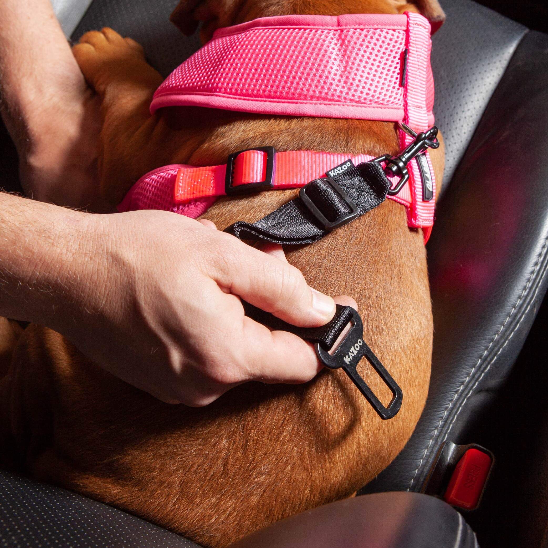 Click Clack Seatbelt Connector - Image 7