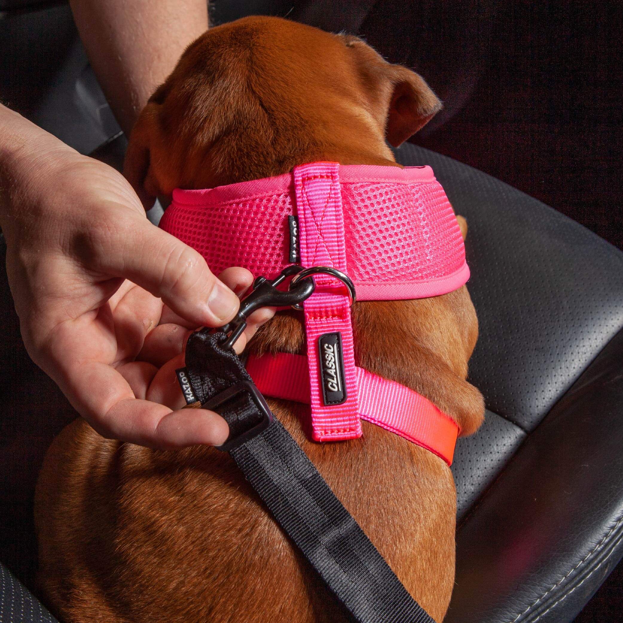 Click Clack Seatbelt Connector - Image 8