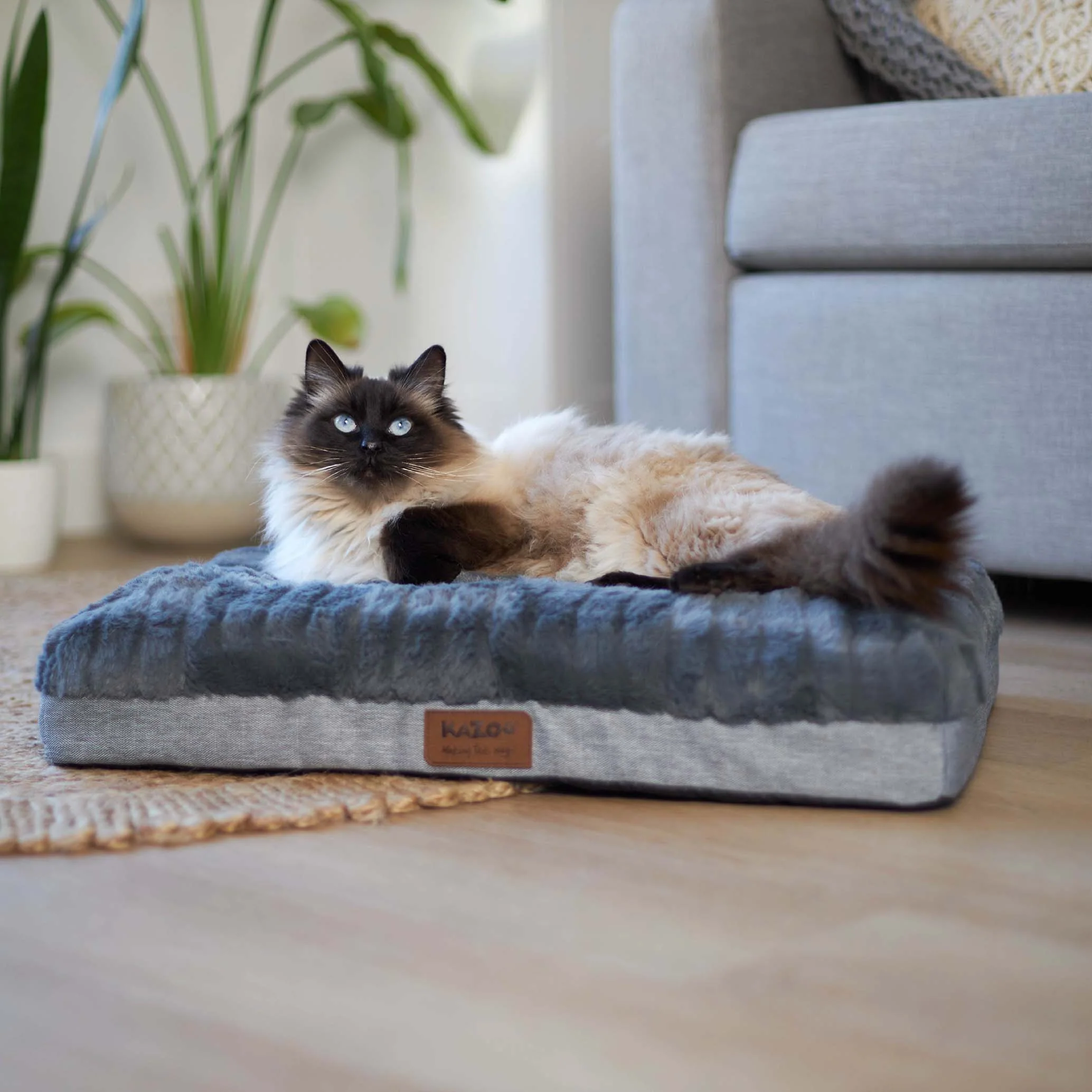 Cloud Comfort Cat Bed - Dark Grey