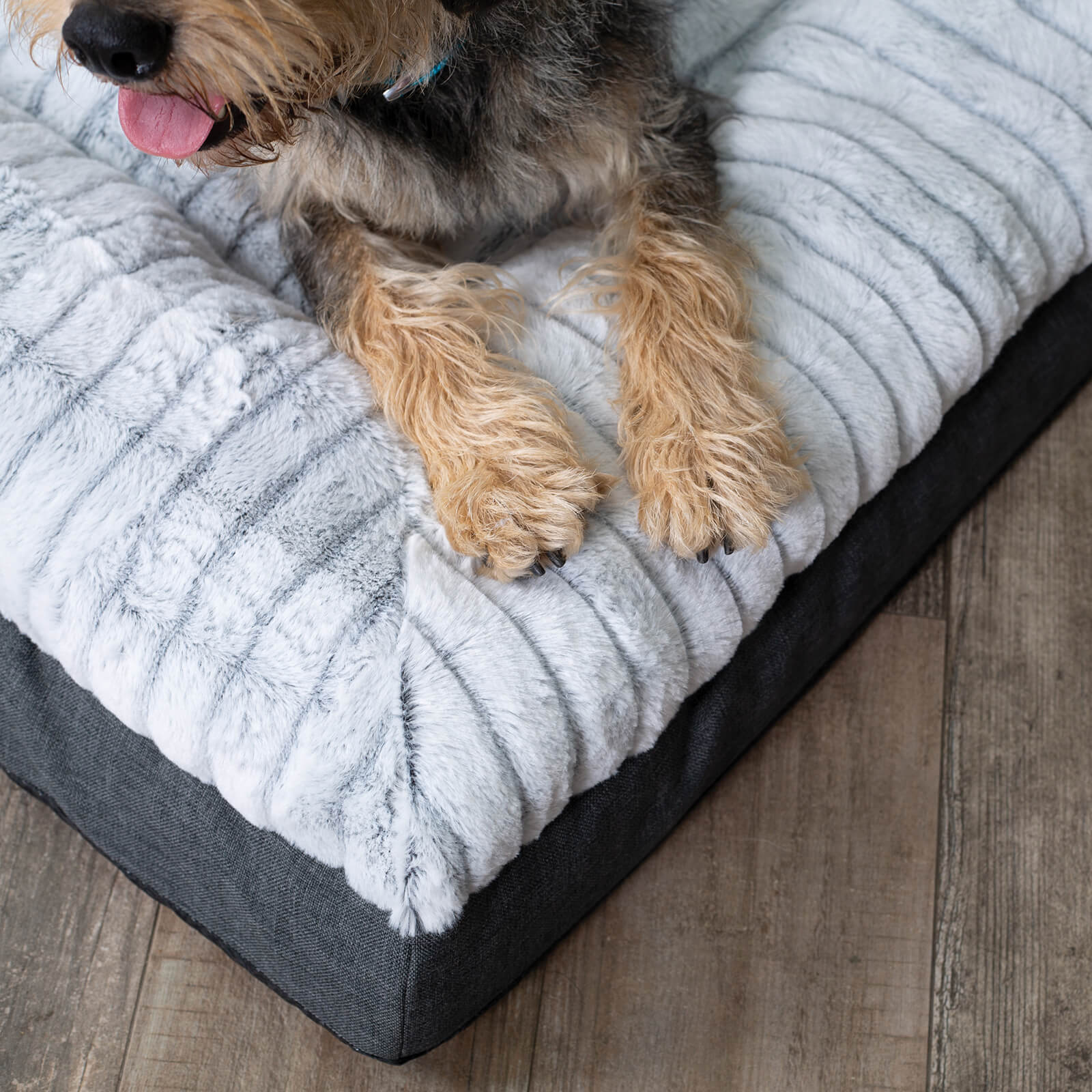 Cloud Comfort Dog Bed - Image 12