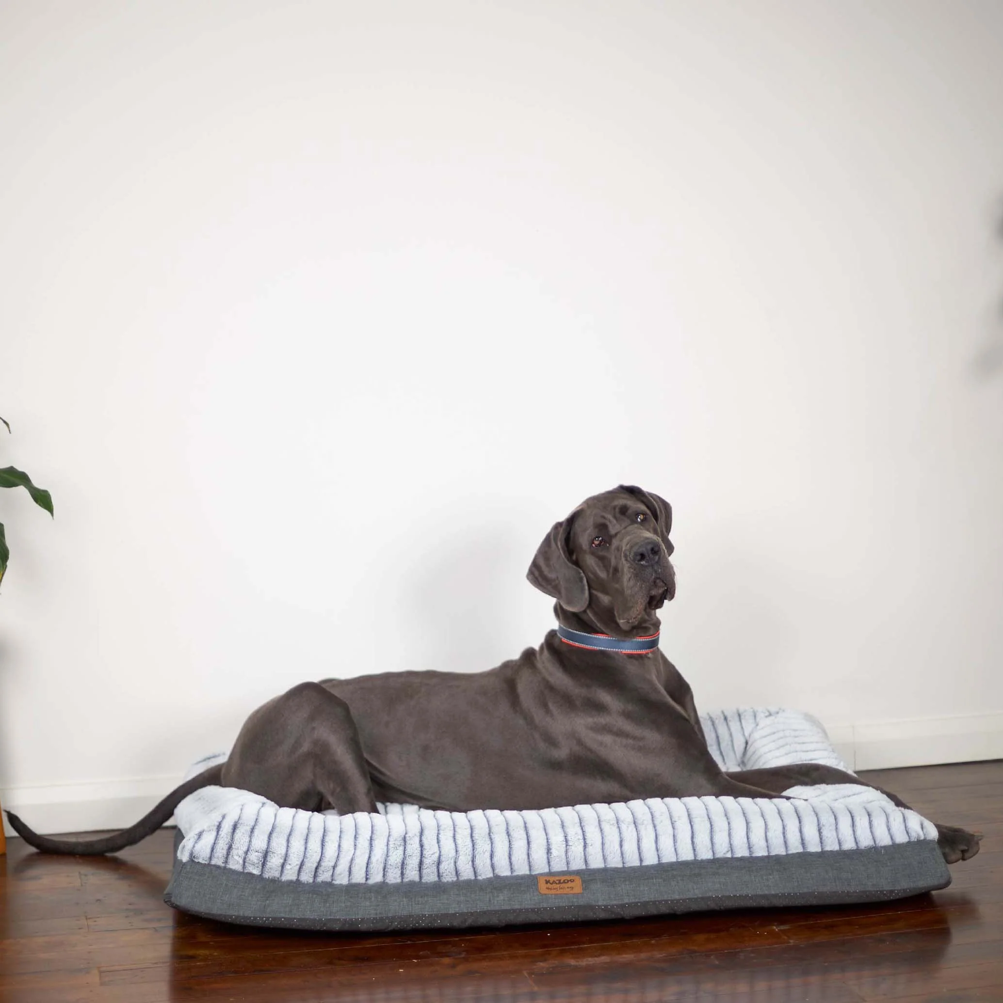 Cloud Comfort Dog Bed - Image 13