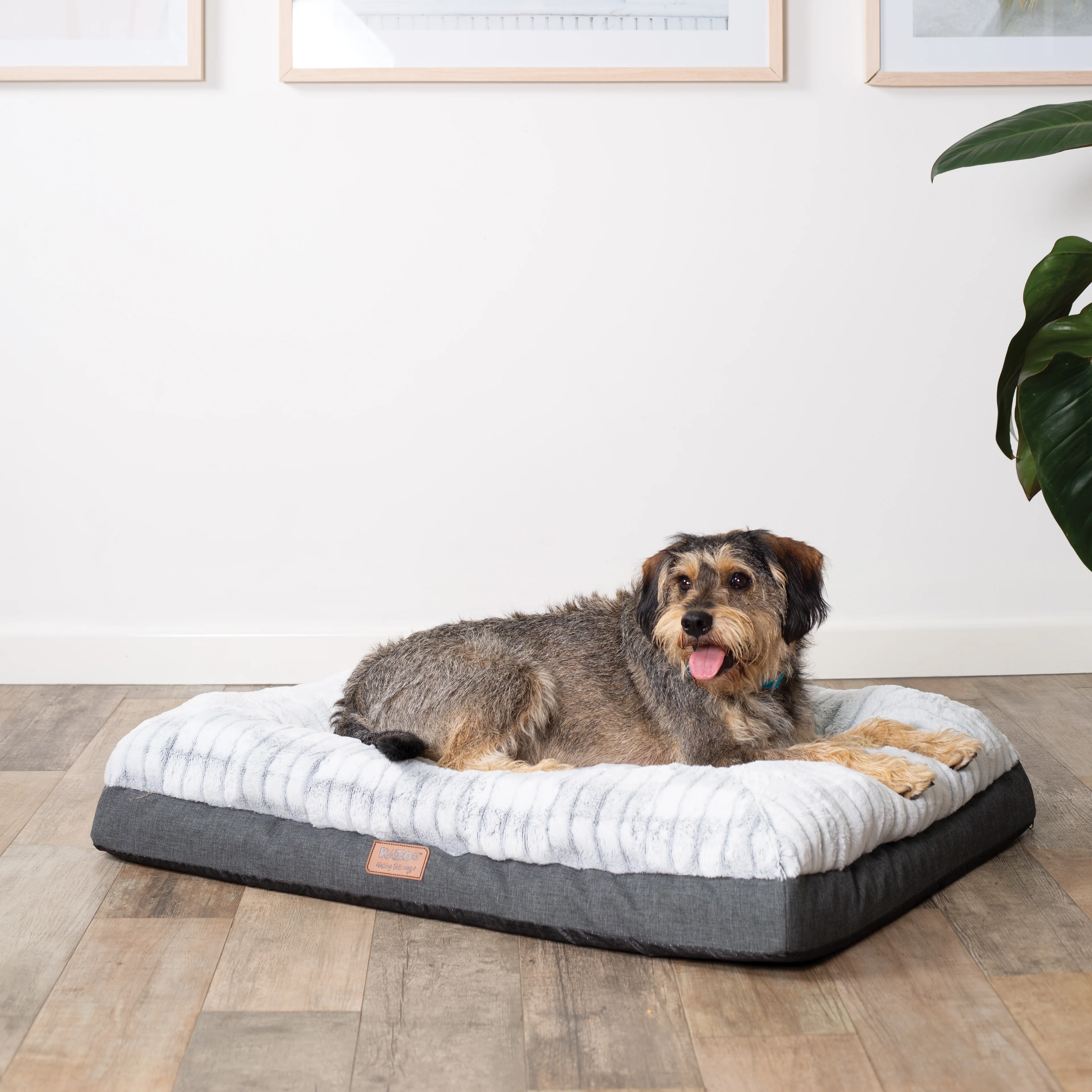 Cloud Comfort Dog Bed - Image 14