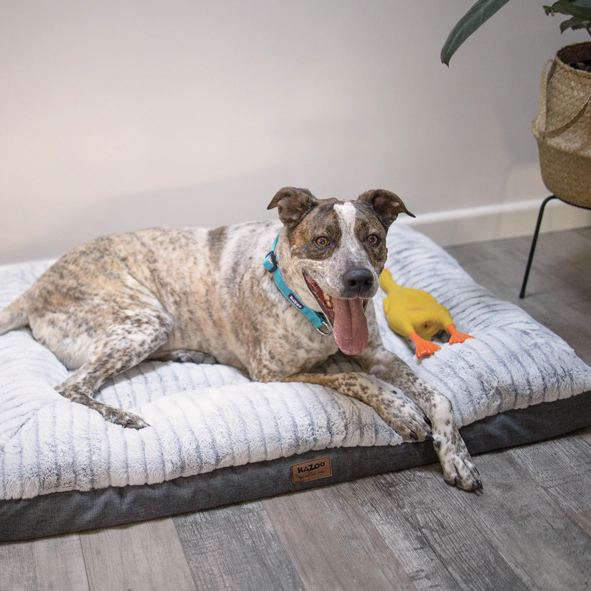 Cloud Comfort Dog Bed - Image 15