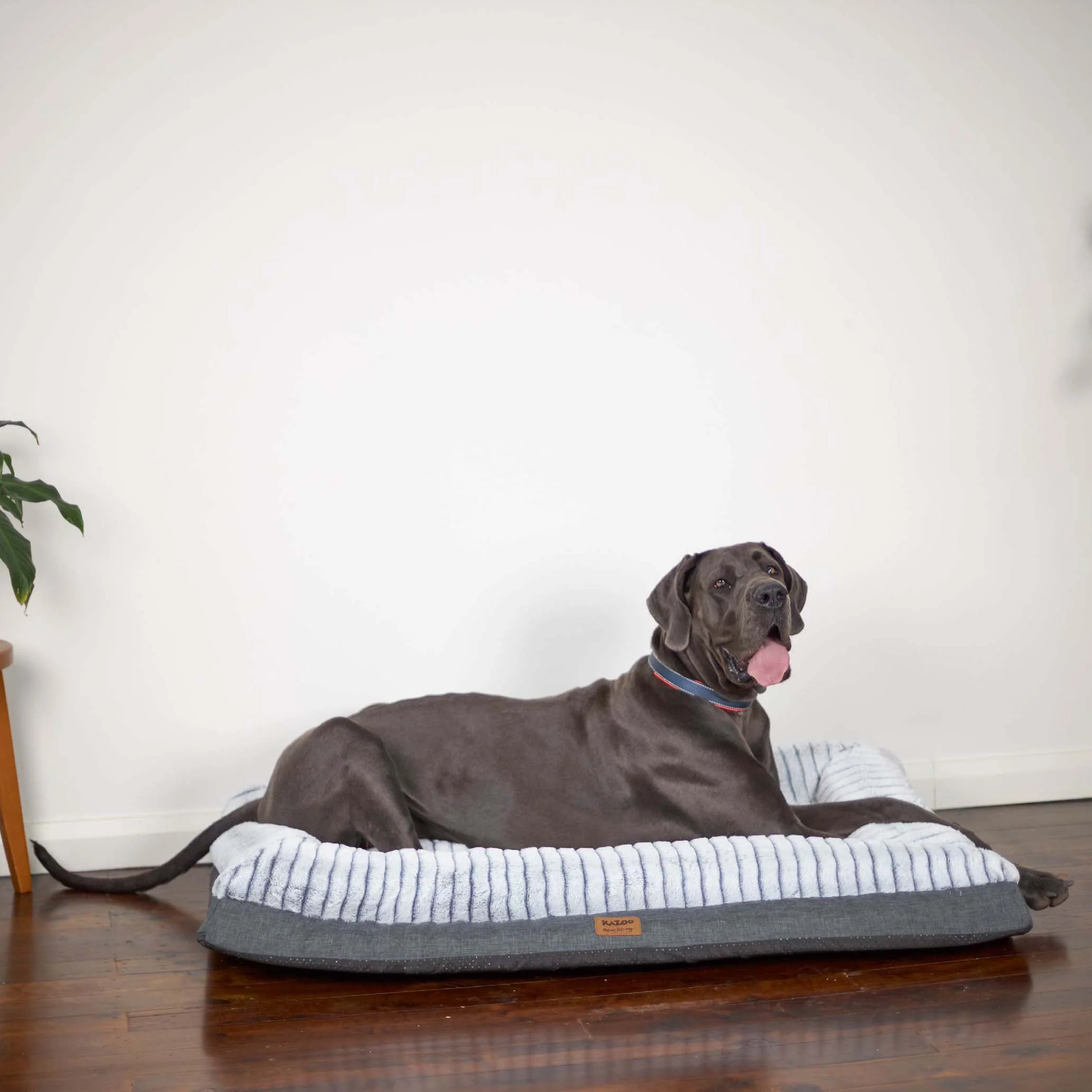 Cloud Comfort Dog Bed - Image 16