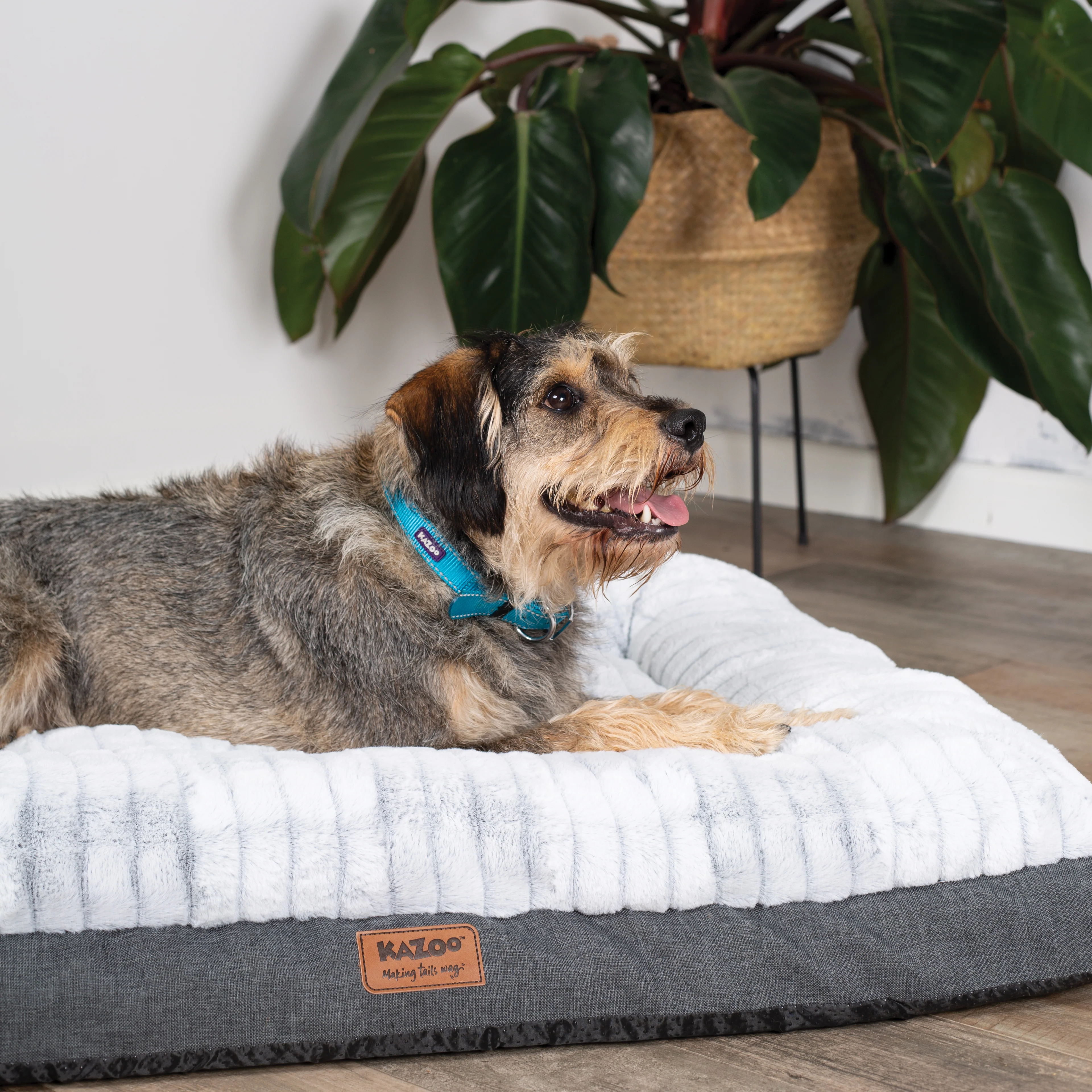 Cloud Comfort Dog Bed - Image 17