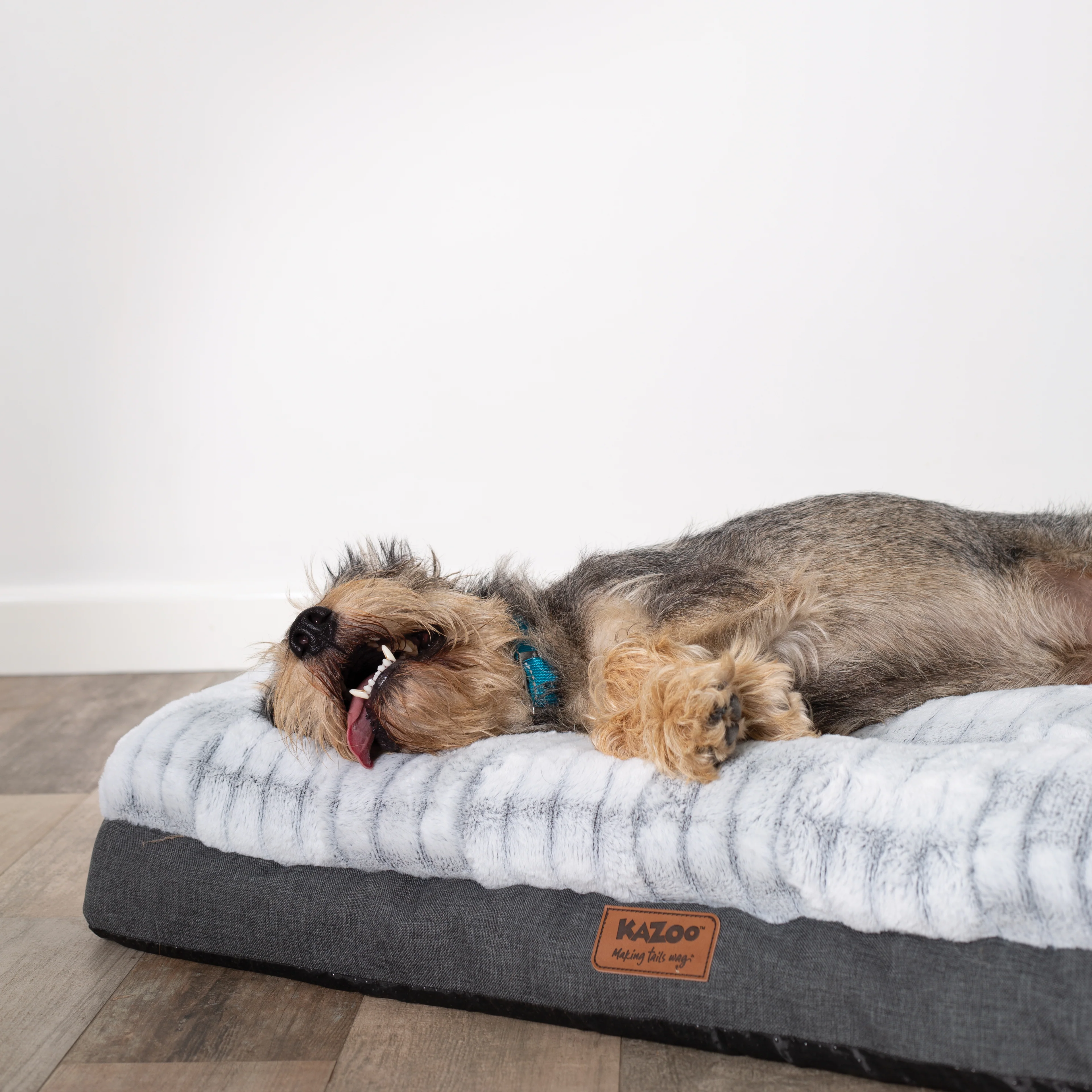 Cloud Comfort Dog Bed - Image 18