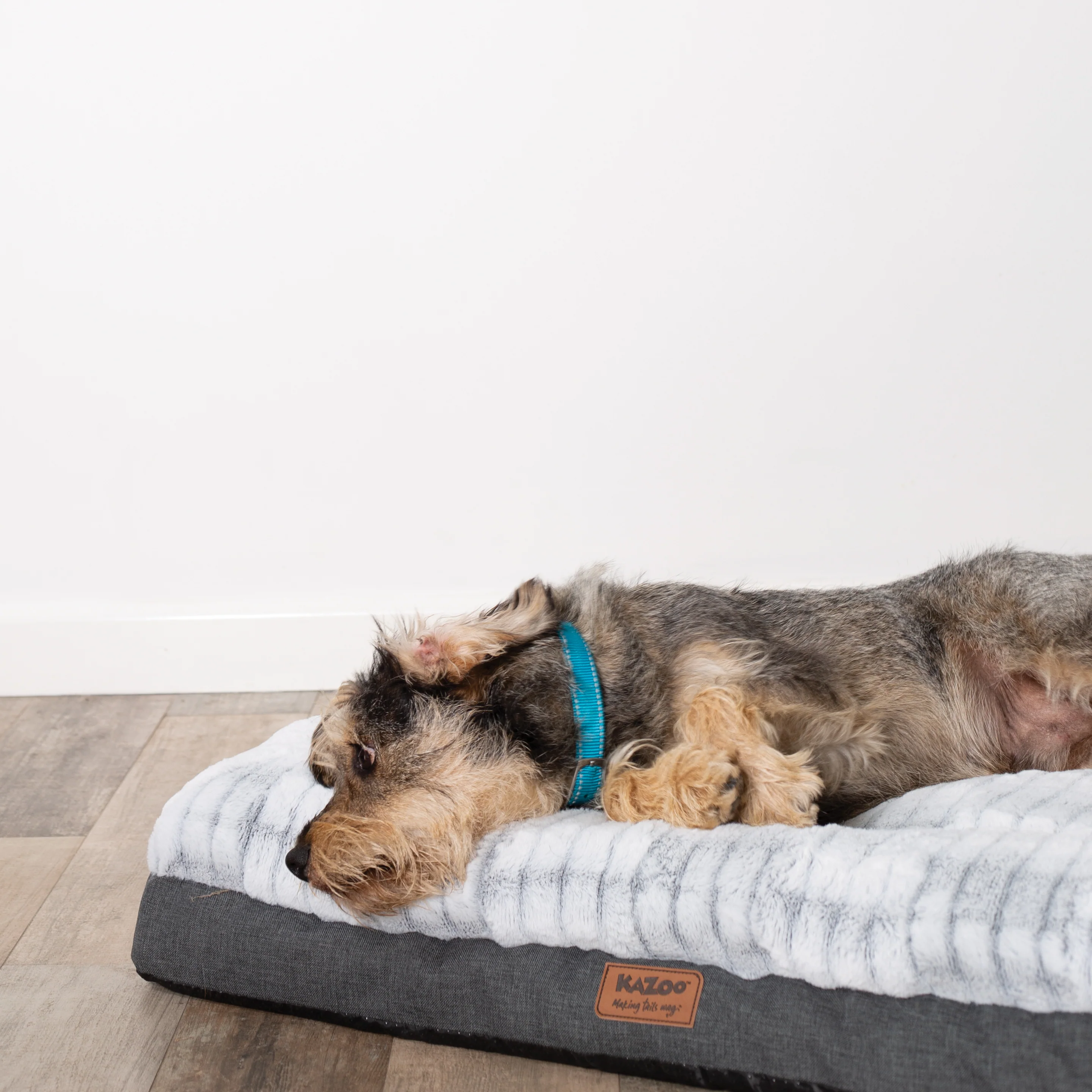 Cloud Comfort Dog Bed - Image 19