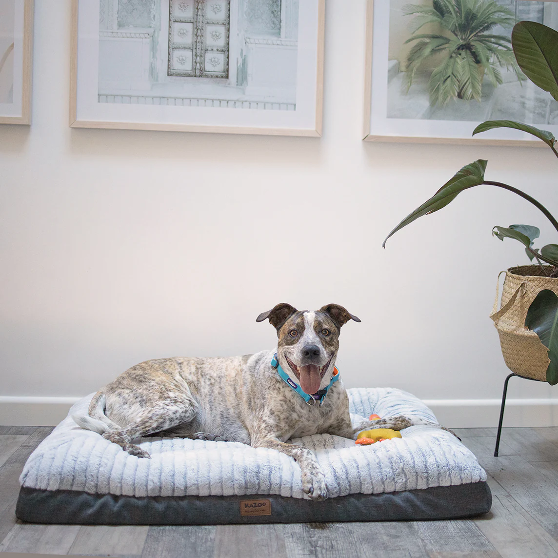 Cloud Comfort Dog Bed - Image 3