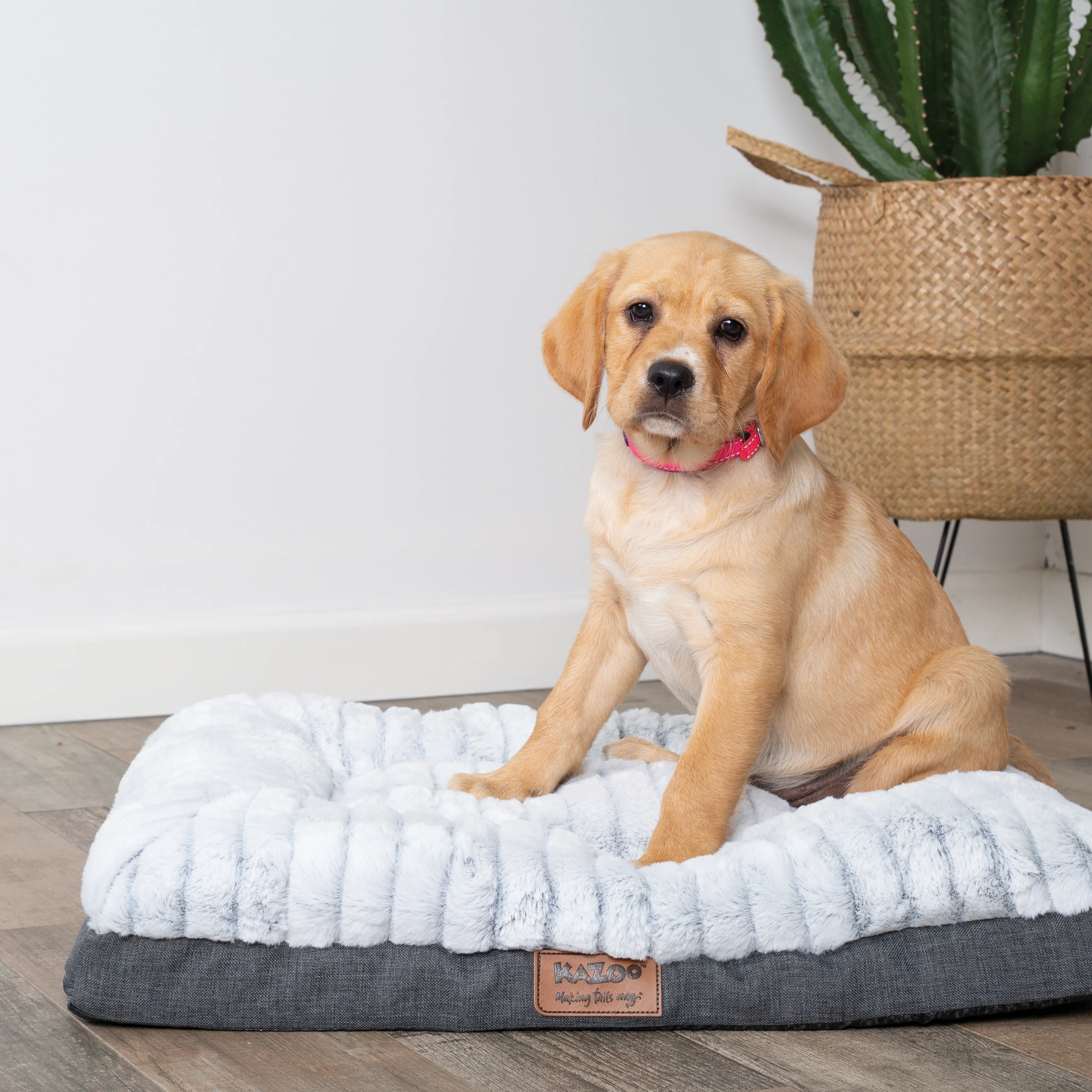 Cloud Comfort Dog Bed - Image 4