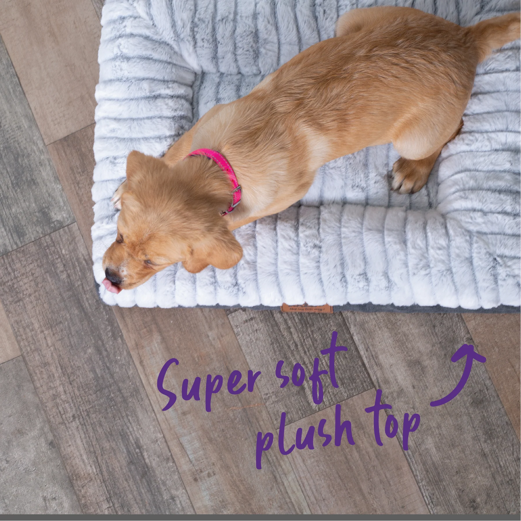 Cloud Comfort Dog Bed - Image 5