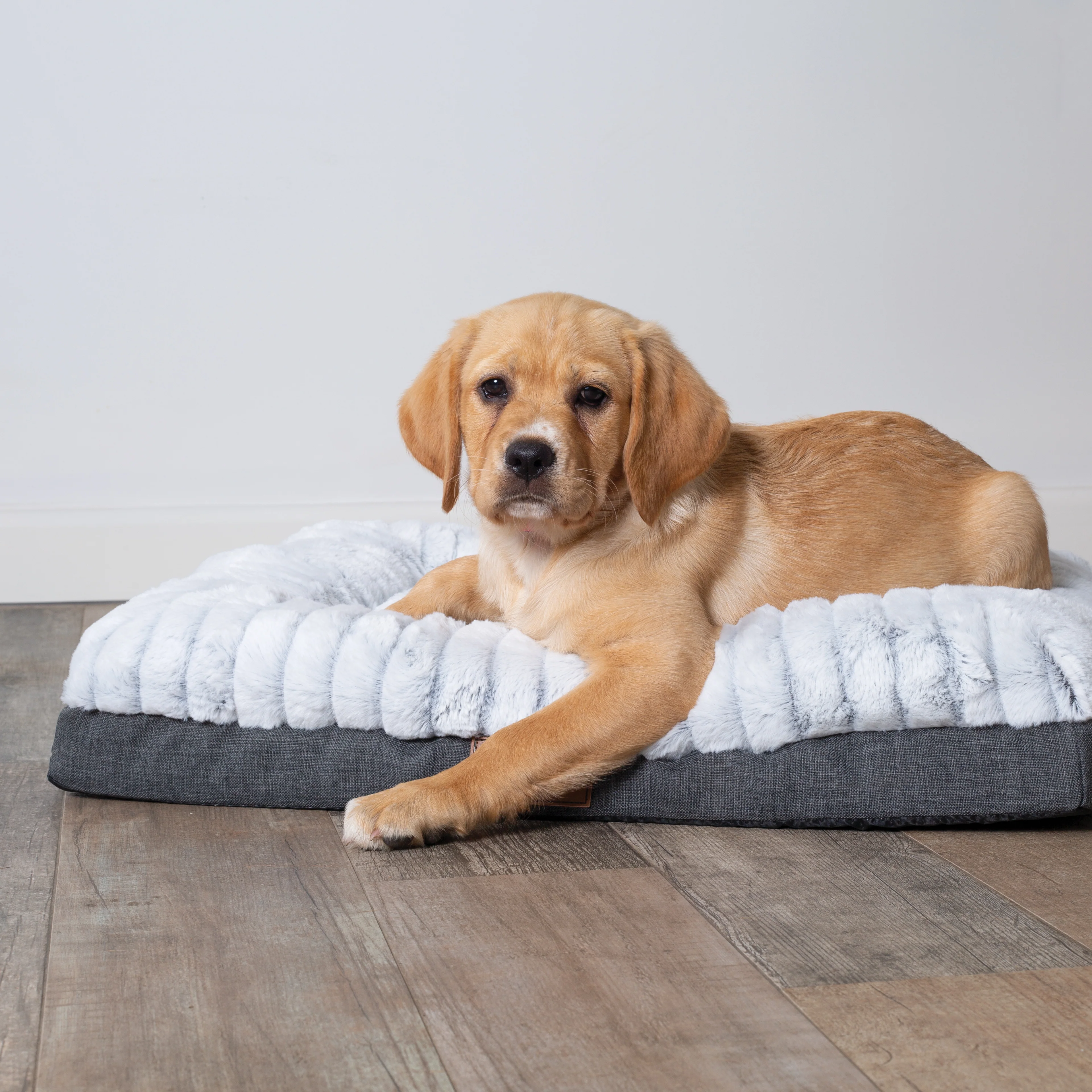 Cloud Comfort Dog Bed - Image 6