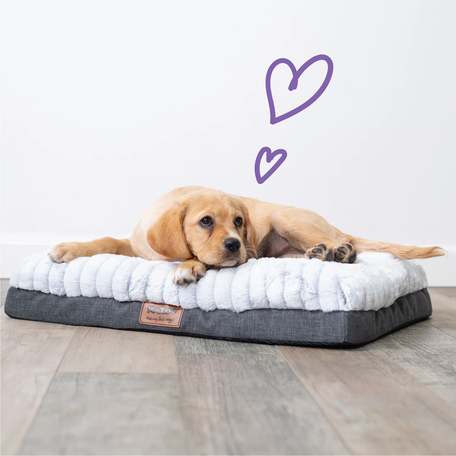 Cloud Comfort Dog Bed - Image 7