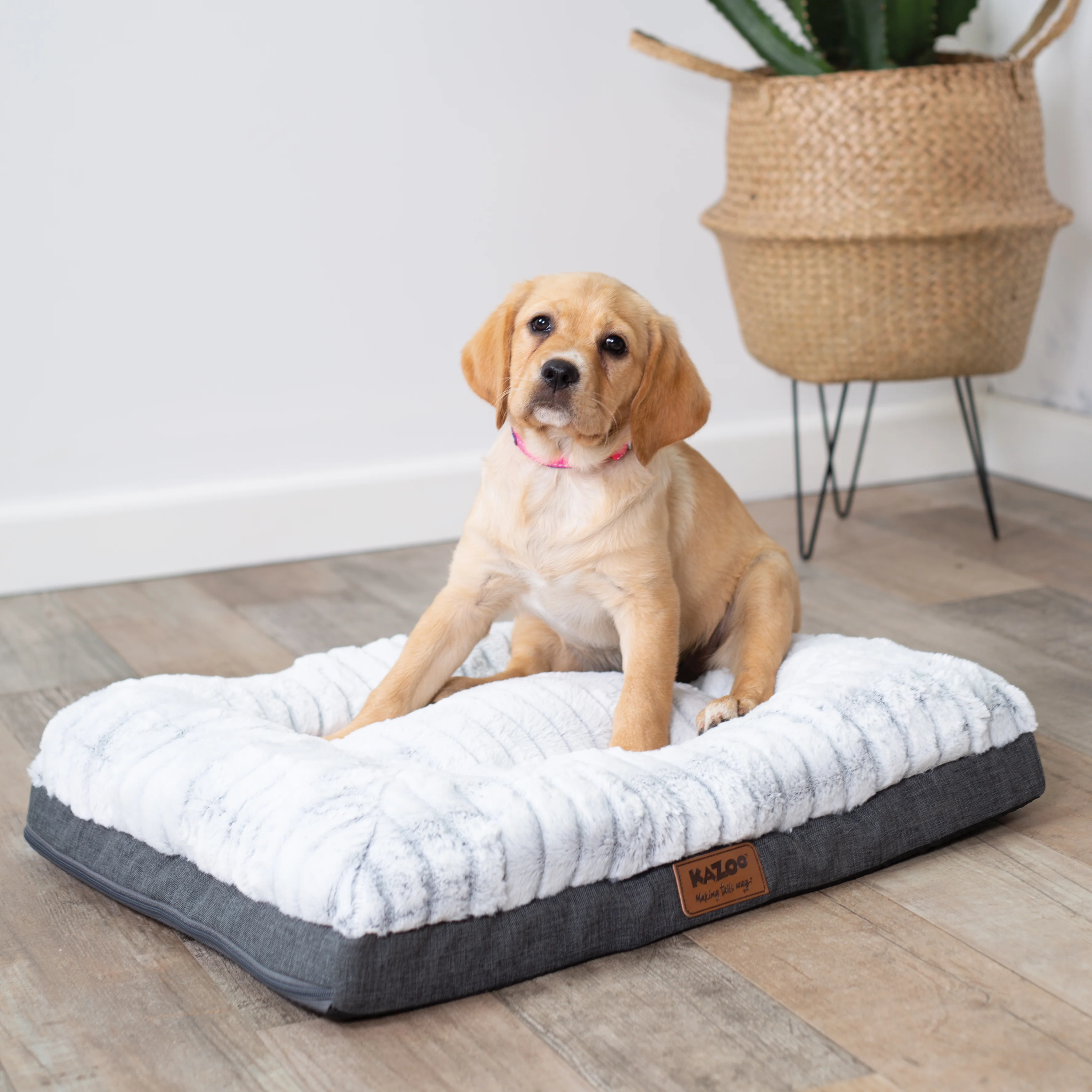 Cloud Comfort Dog Bed - Image 8