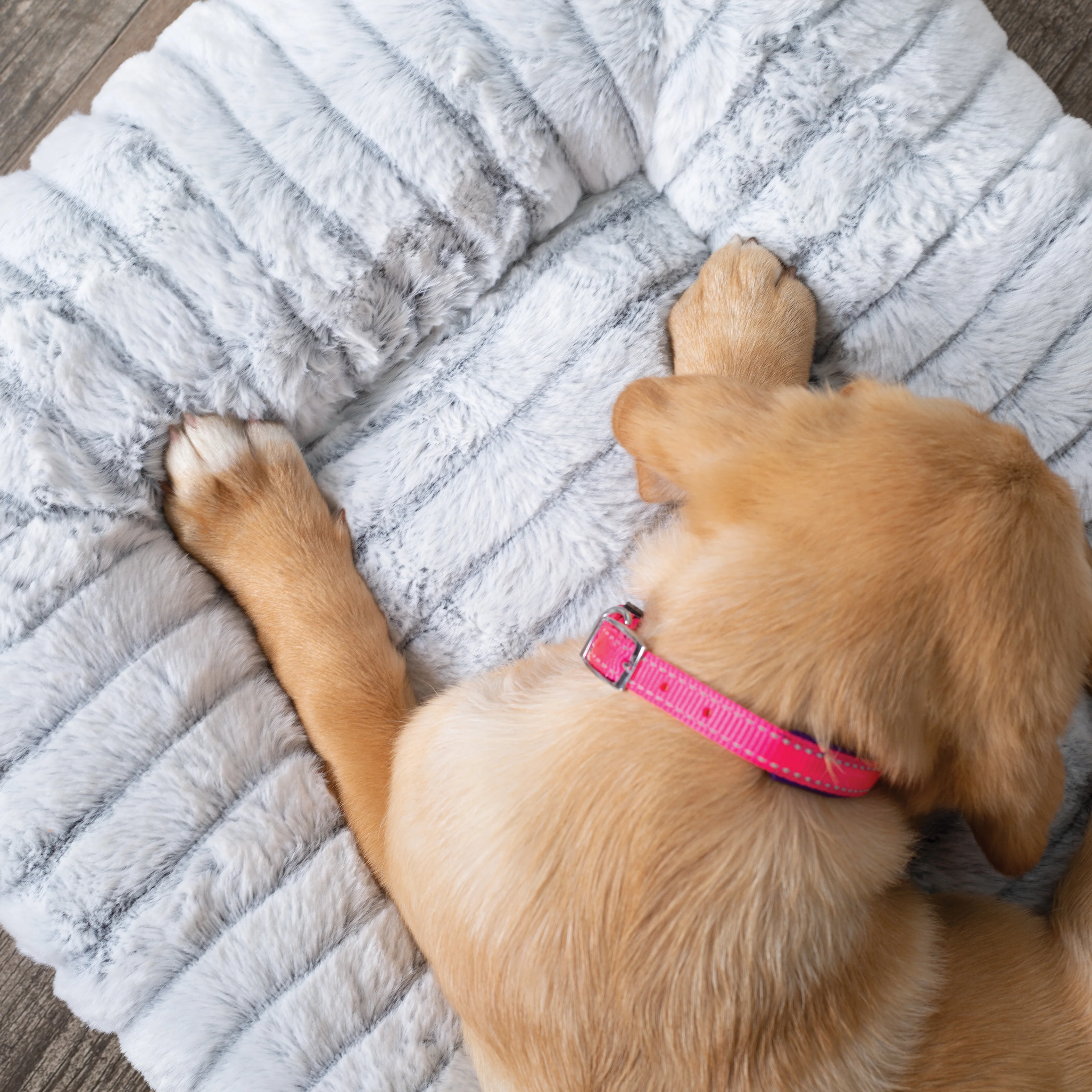 Cloud Comfort Dog Bed - Image 9