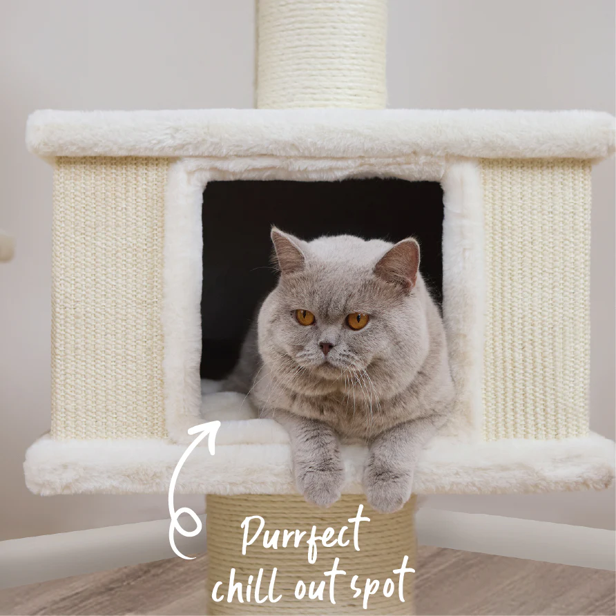 Cloud Nine Catnap Tower - Cream - Image 5