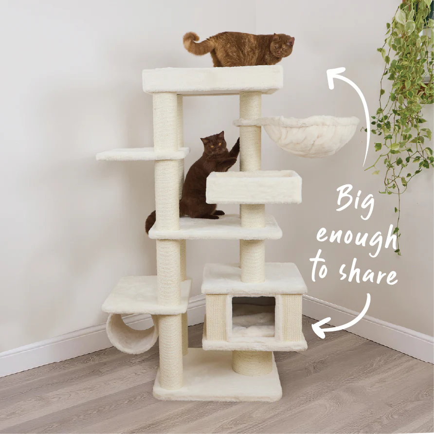 Cloud Nine Catnap Tower - Cream - Image 8