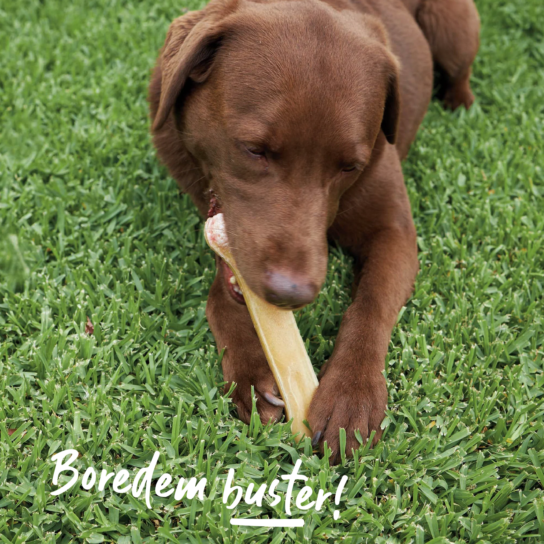 Smoked Mighty Bone - Image 6