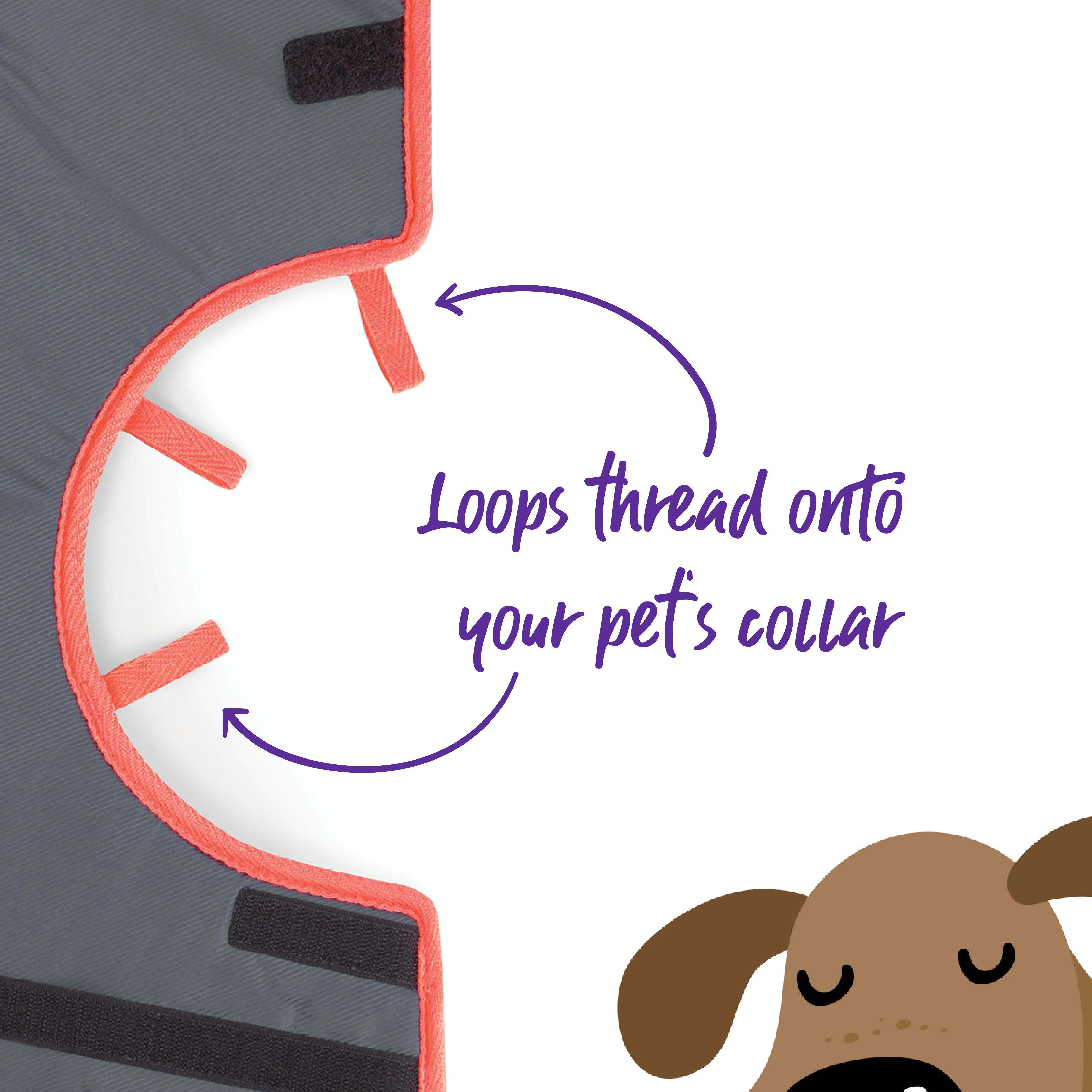 Comfy Recovery Collar - Image 5