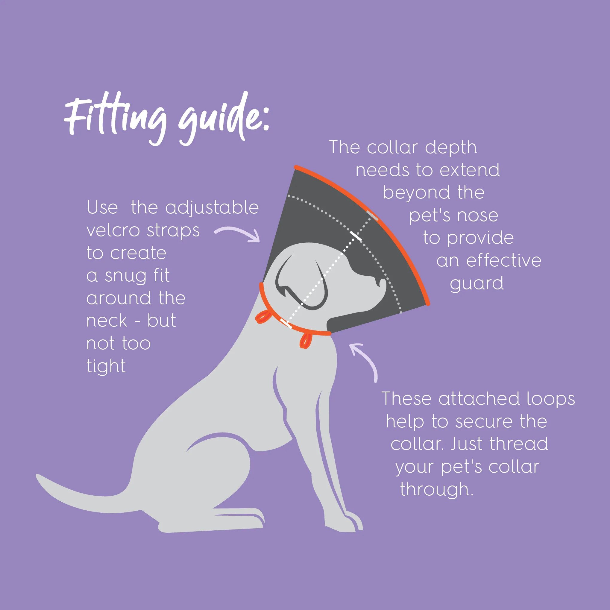 Comfy Recovery Collar - Image 6
