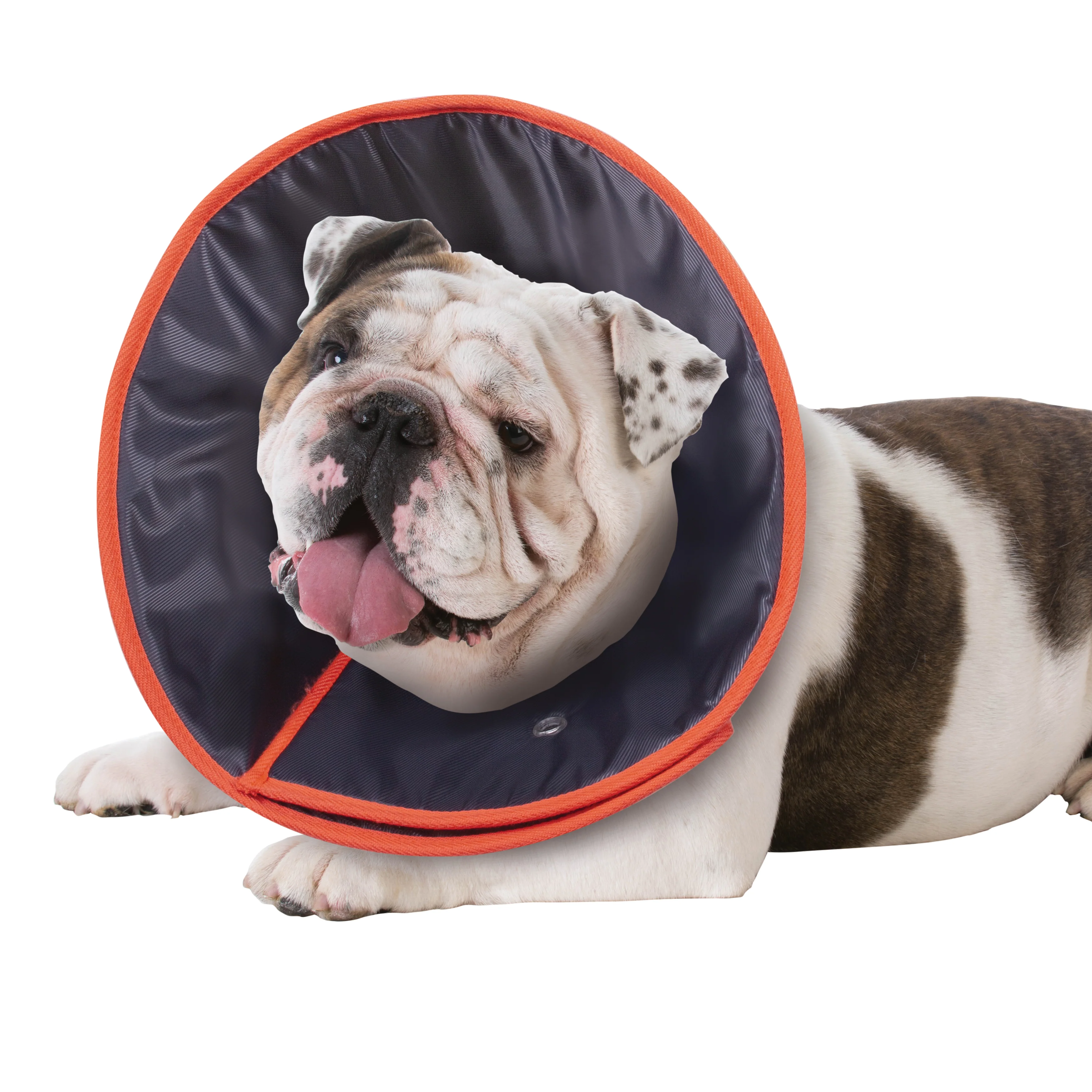 Comfy Recovery Collar - Image 8