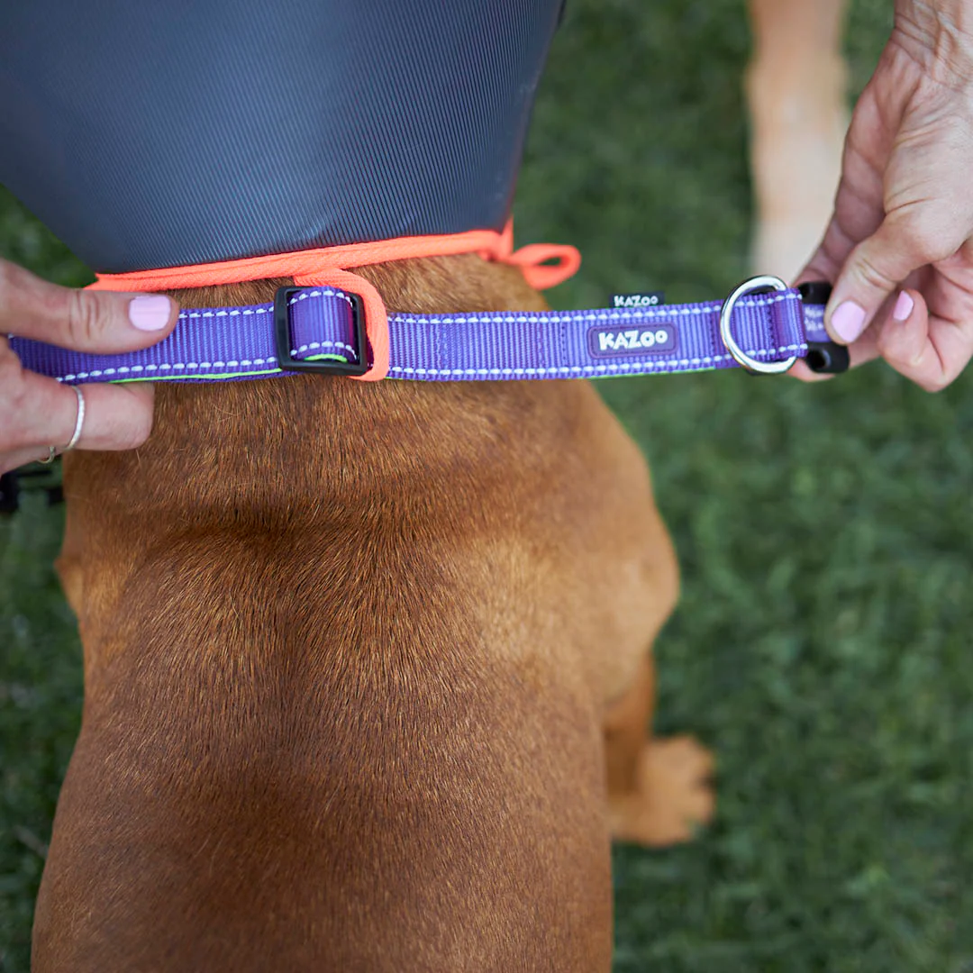 Comfy Recovery Collar - Image 9