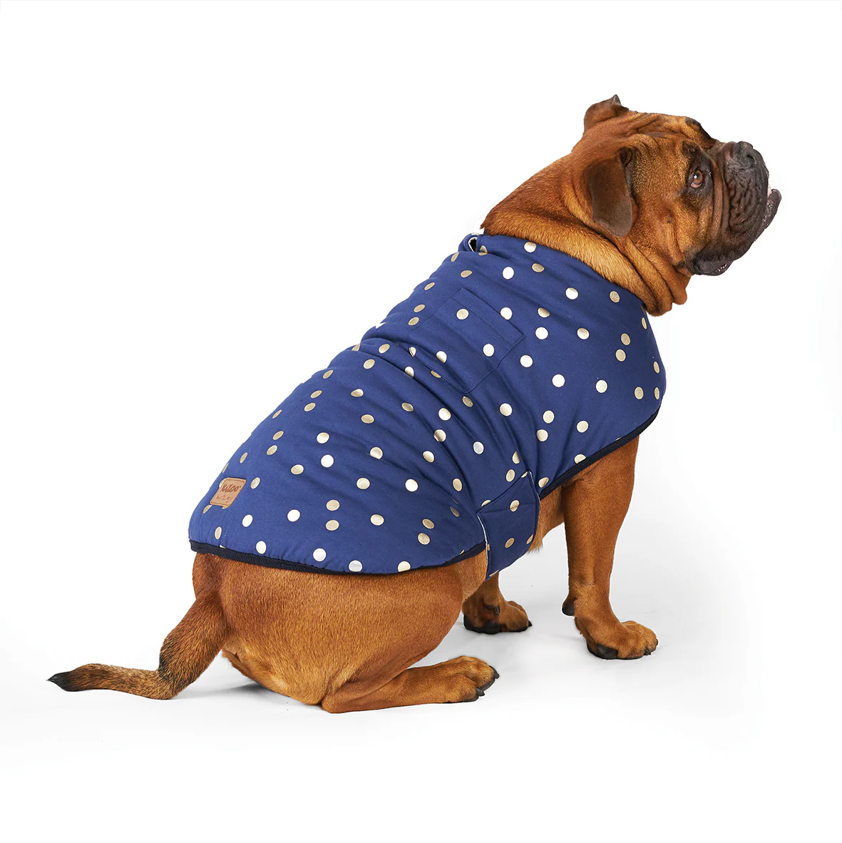 Confetti Snuggie Dog Jacket - Image 5