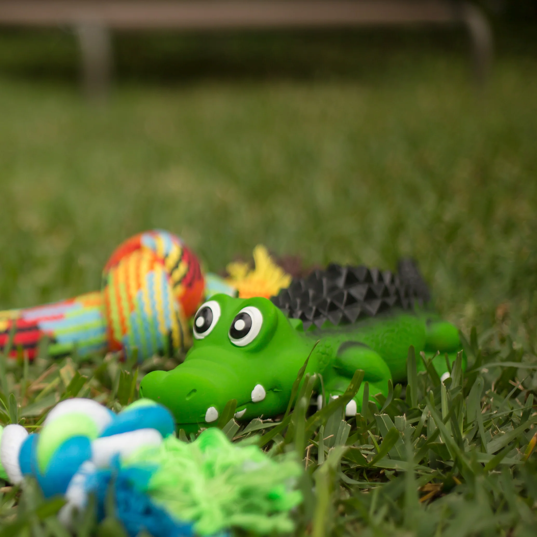 Cool Crocodile - Image 10