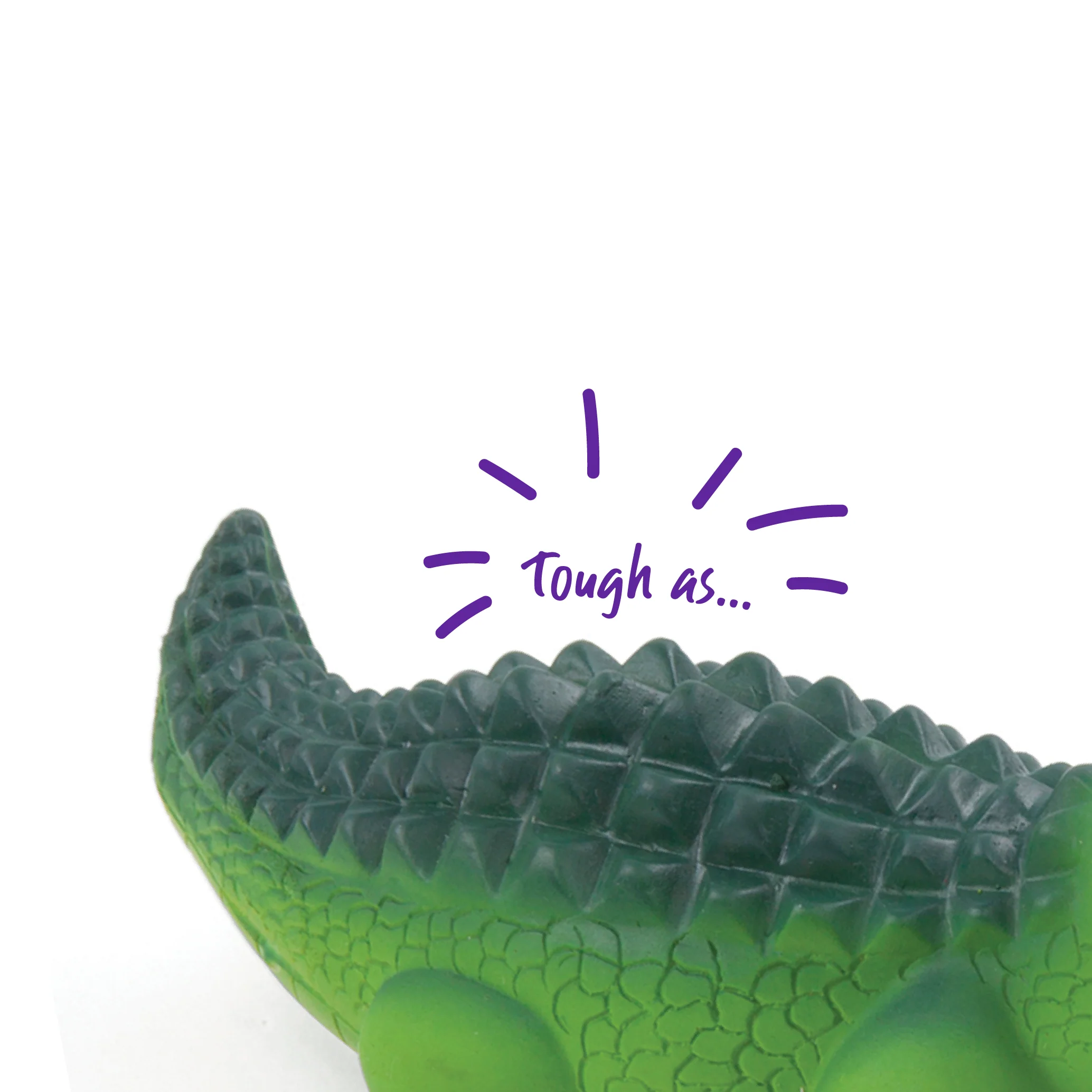 Cool Crocodile - Image 5
