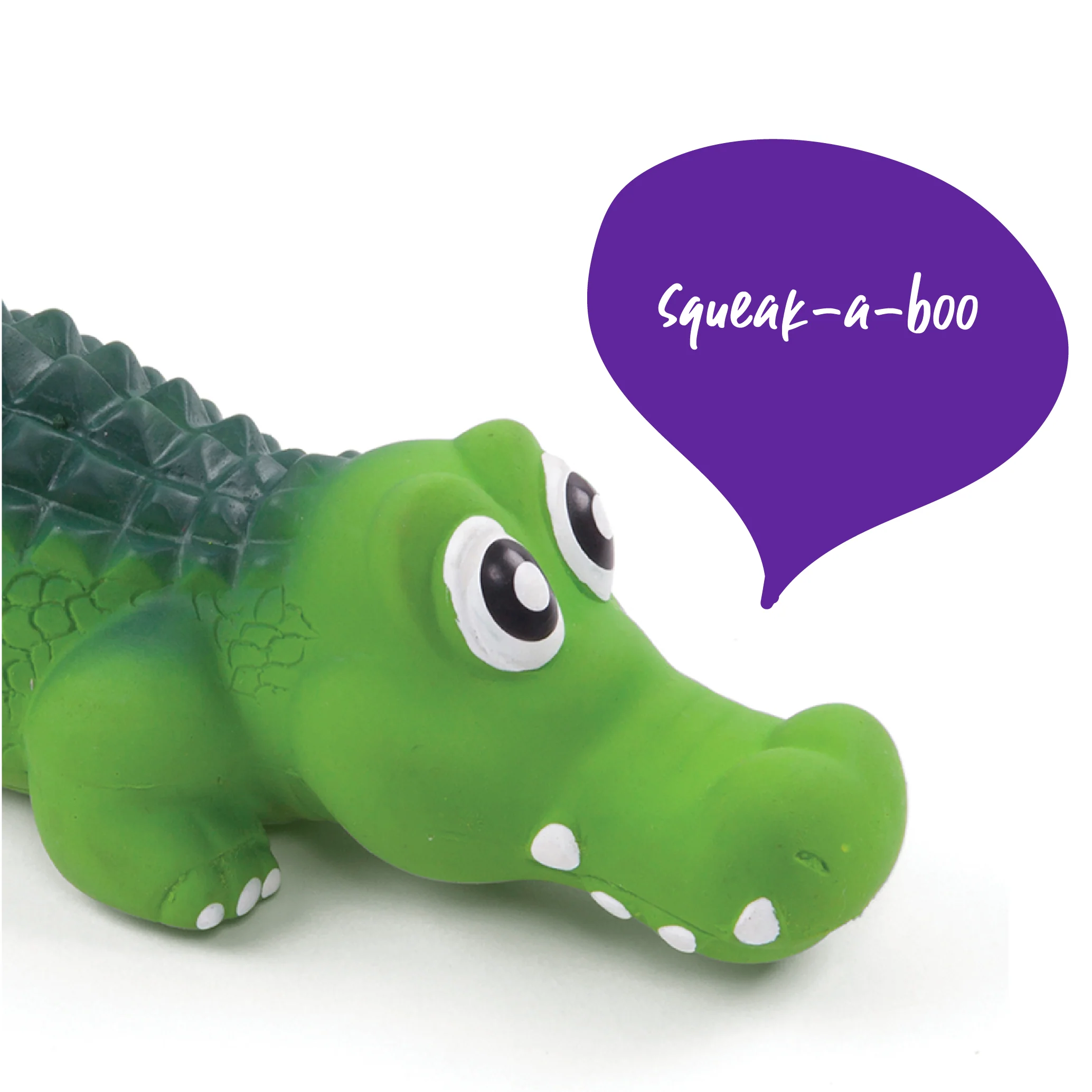 Cool Crocodile - Image 7