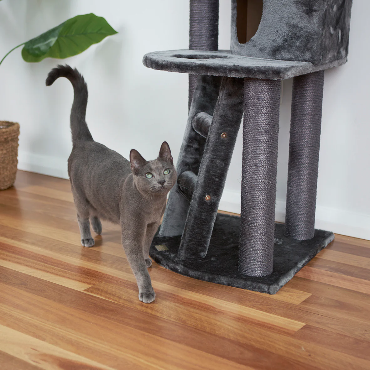 Corner 3 Level Cat Playground - Charcoal - Image 4