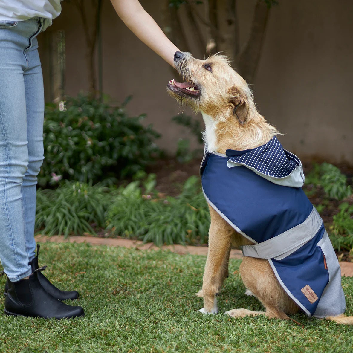 Cosy Dog Raincoat - Lagoon - Image 2