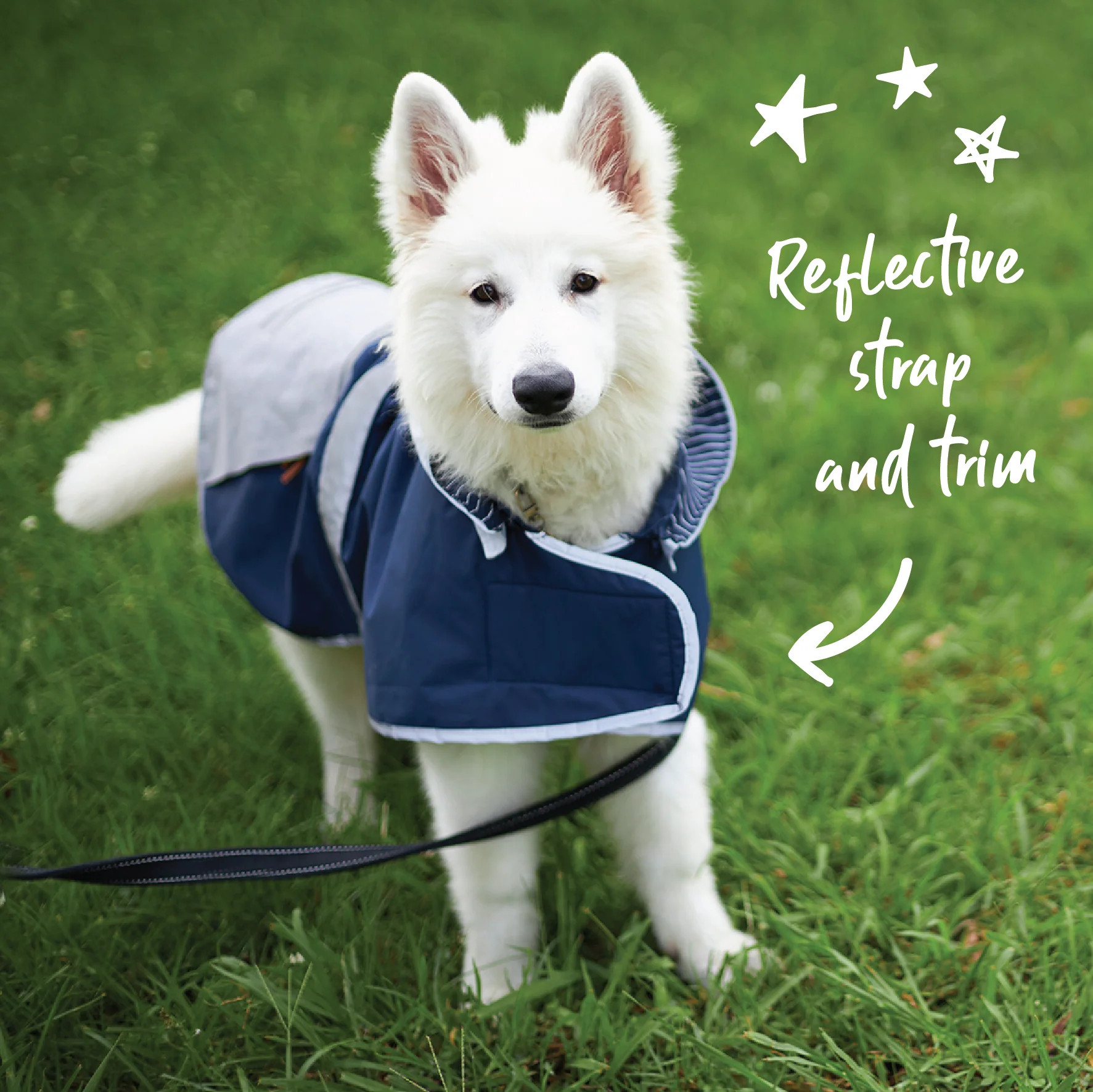 Cosy Dog Raincoat - Lagoon - Image 4
