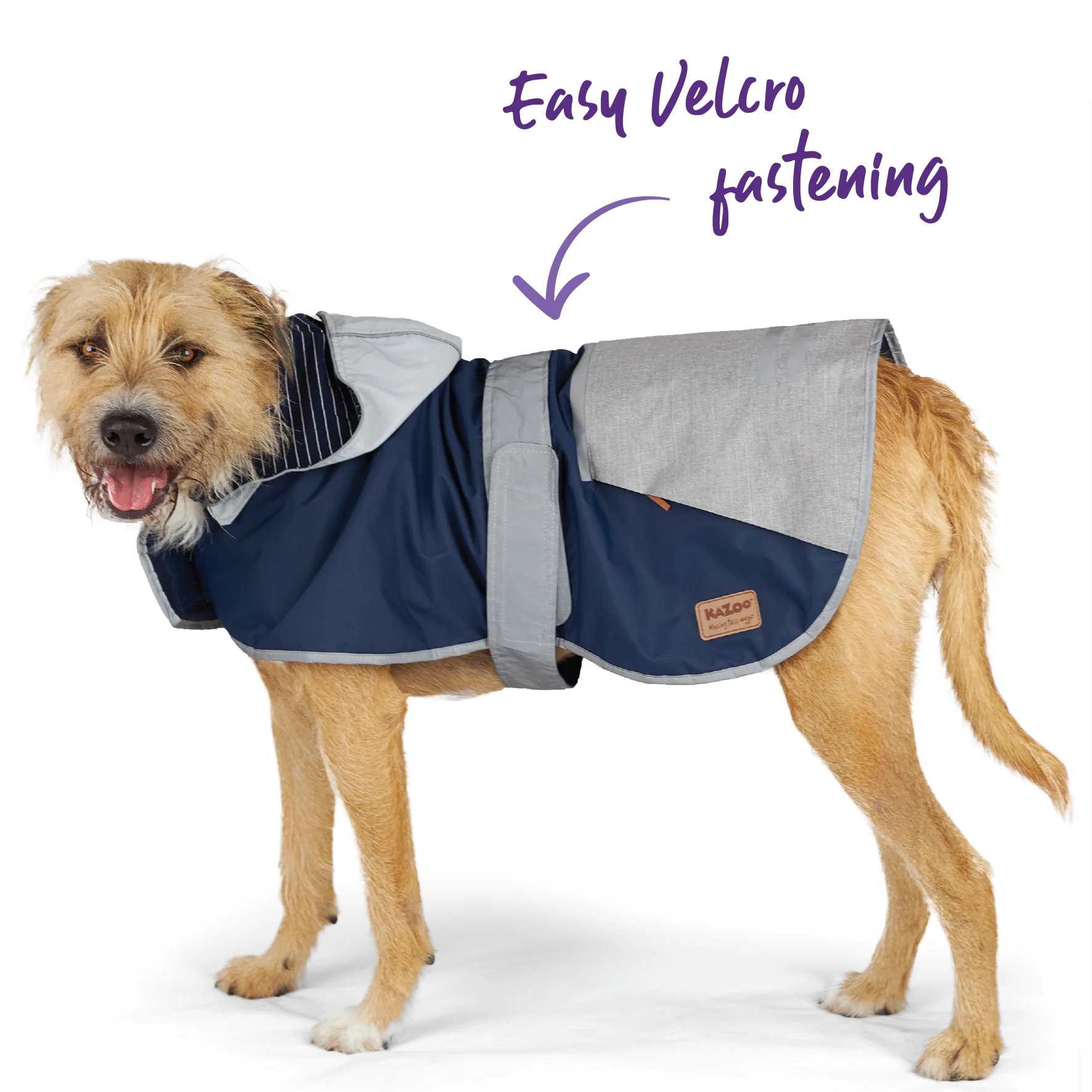 Cosy Dog Raincoat - Lagoon - Image 6