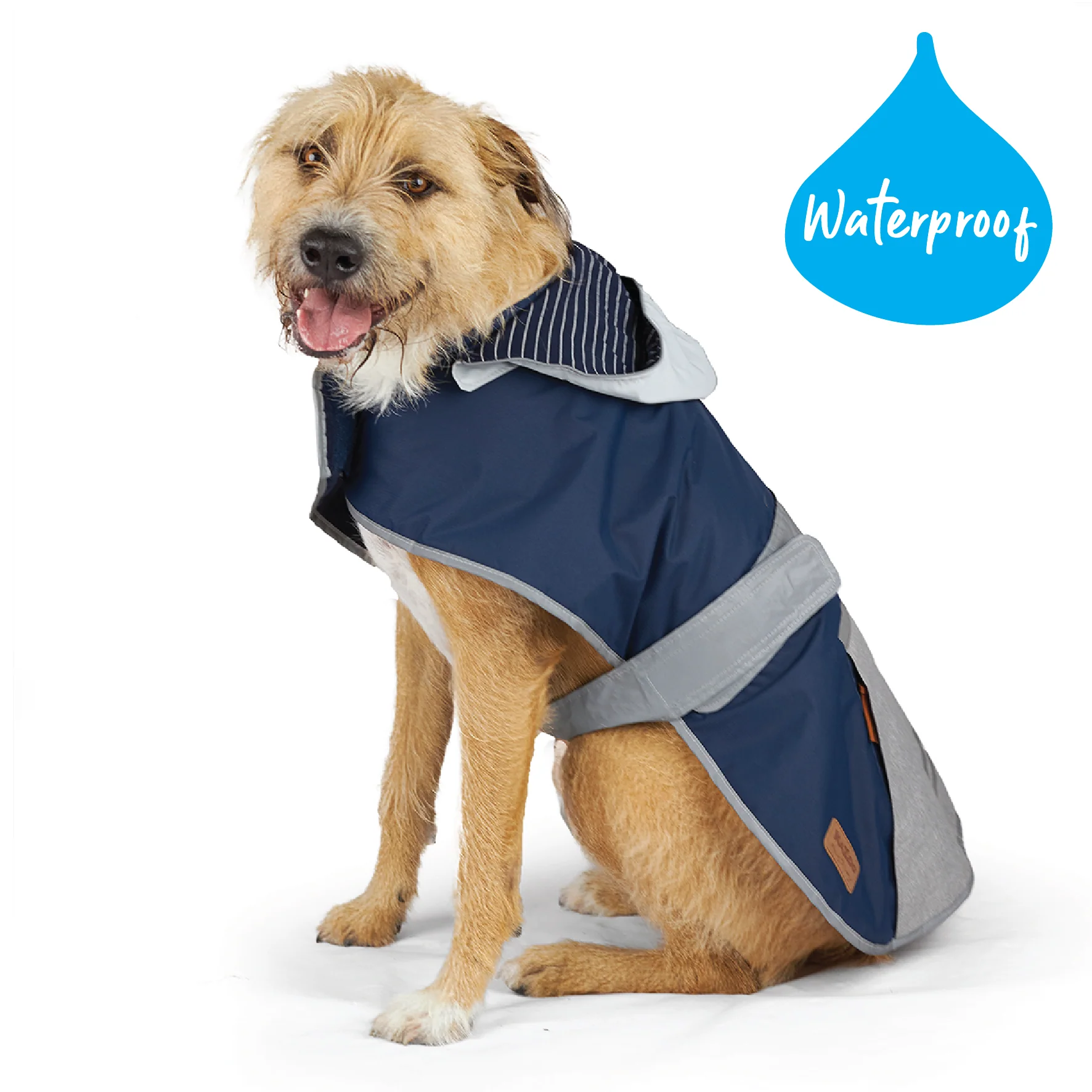 Cosy Dog Raincoat - Lagoon - Image 8