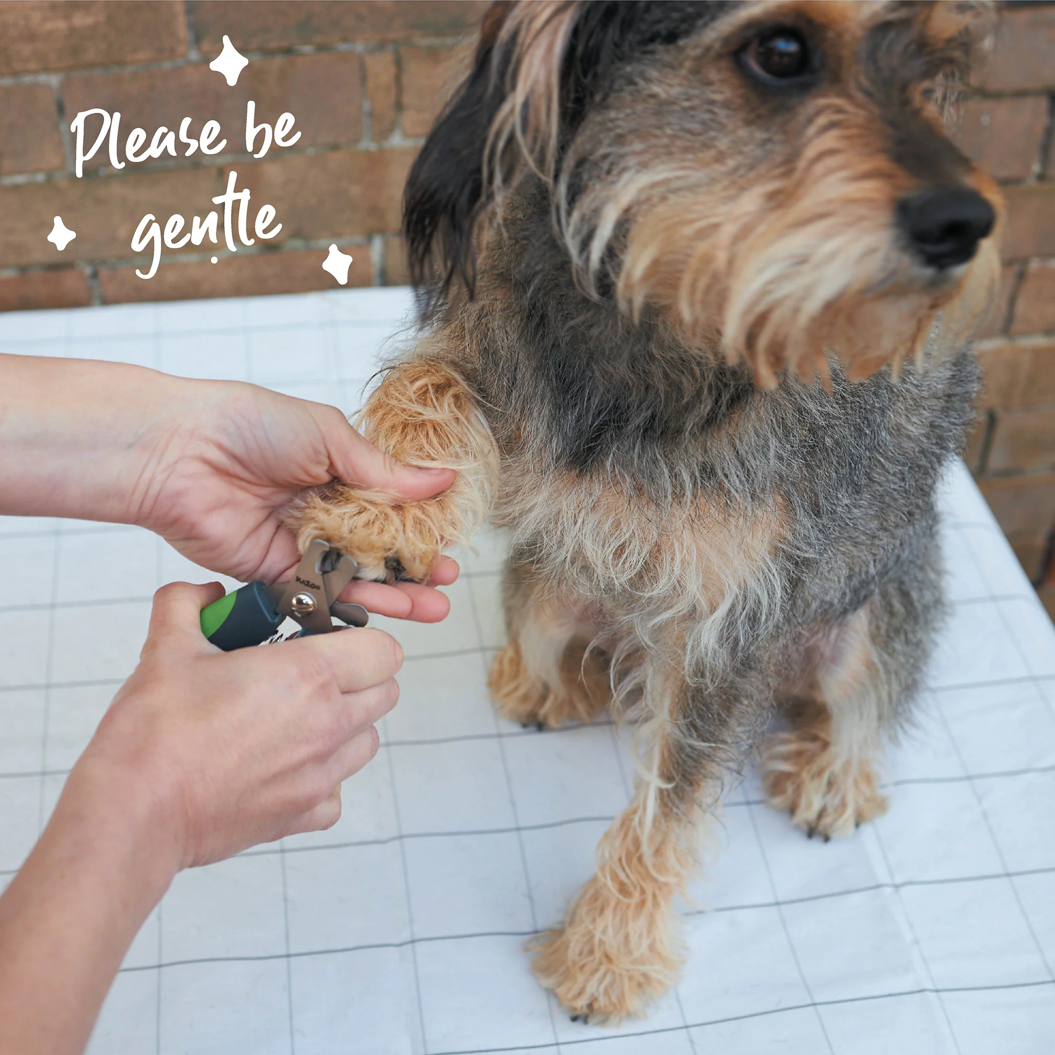 Deluxe Nail Clipper - Image 3