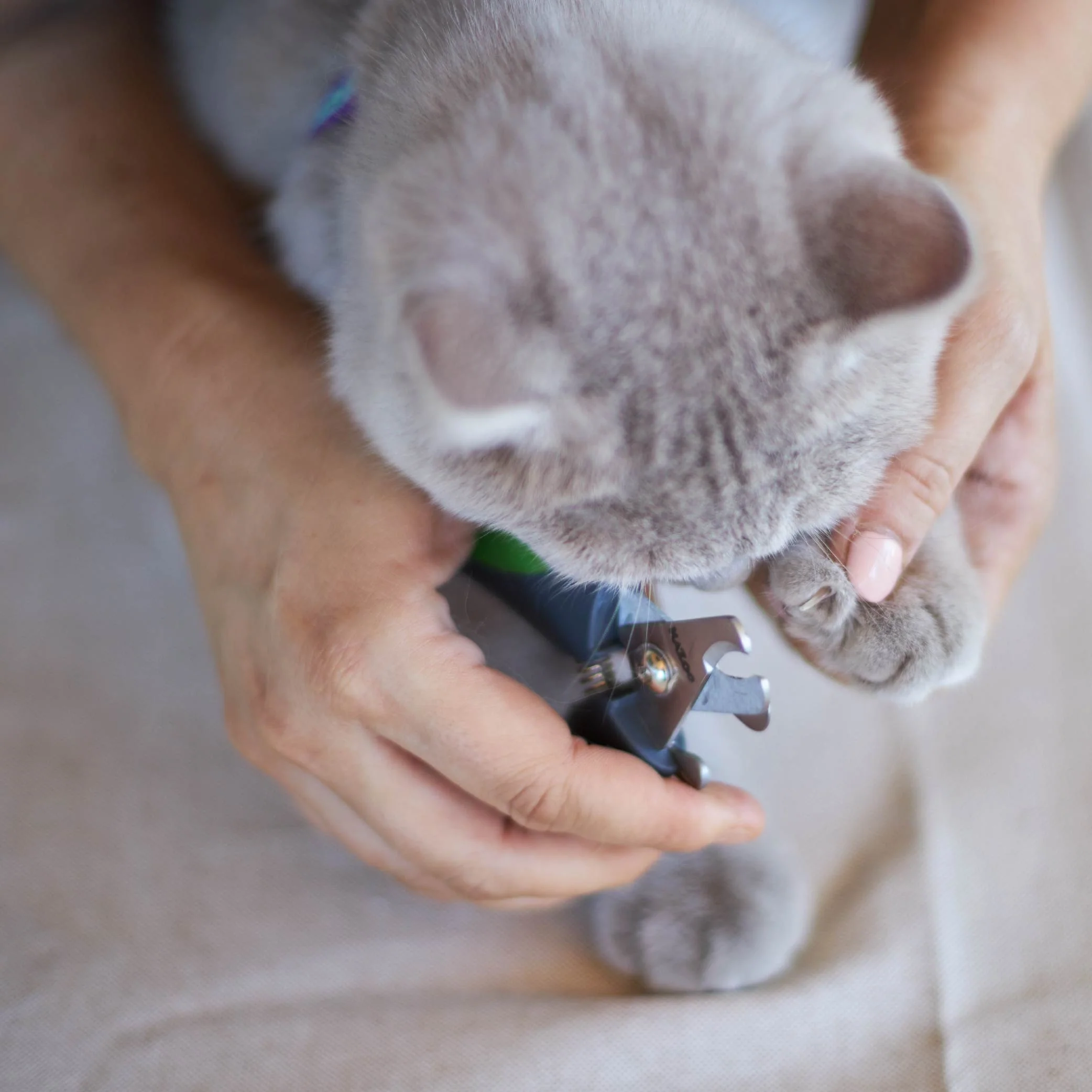 Deluxe Nail Clipper - Image 4