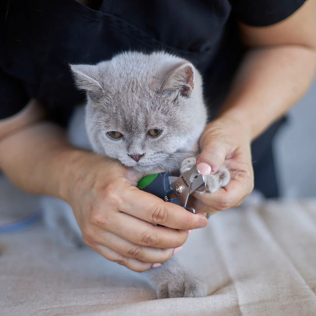 Deluxe Nail Clipper - Image 5
