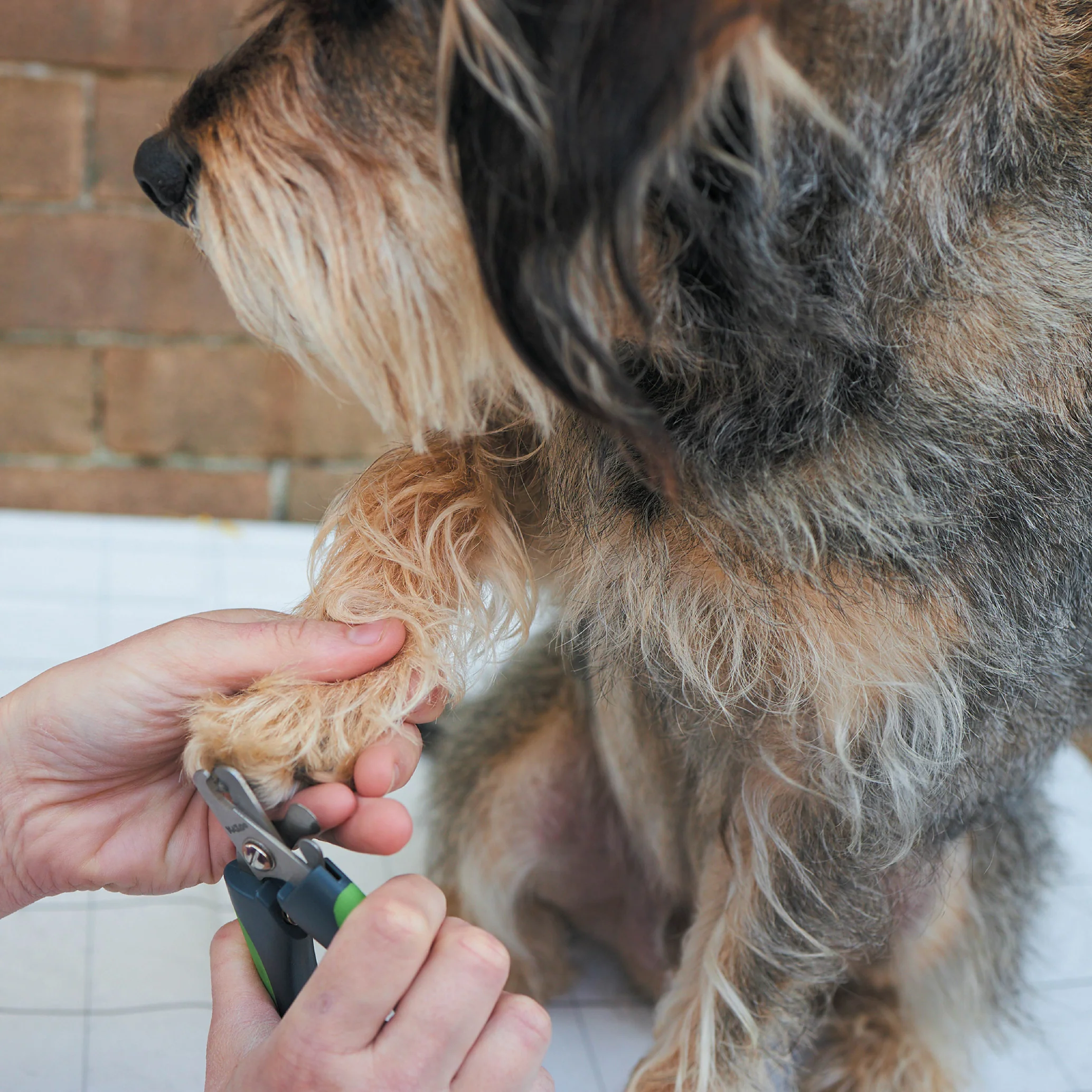 Deluxe Nail Clipper - Image 6