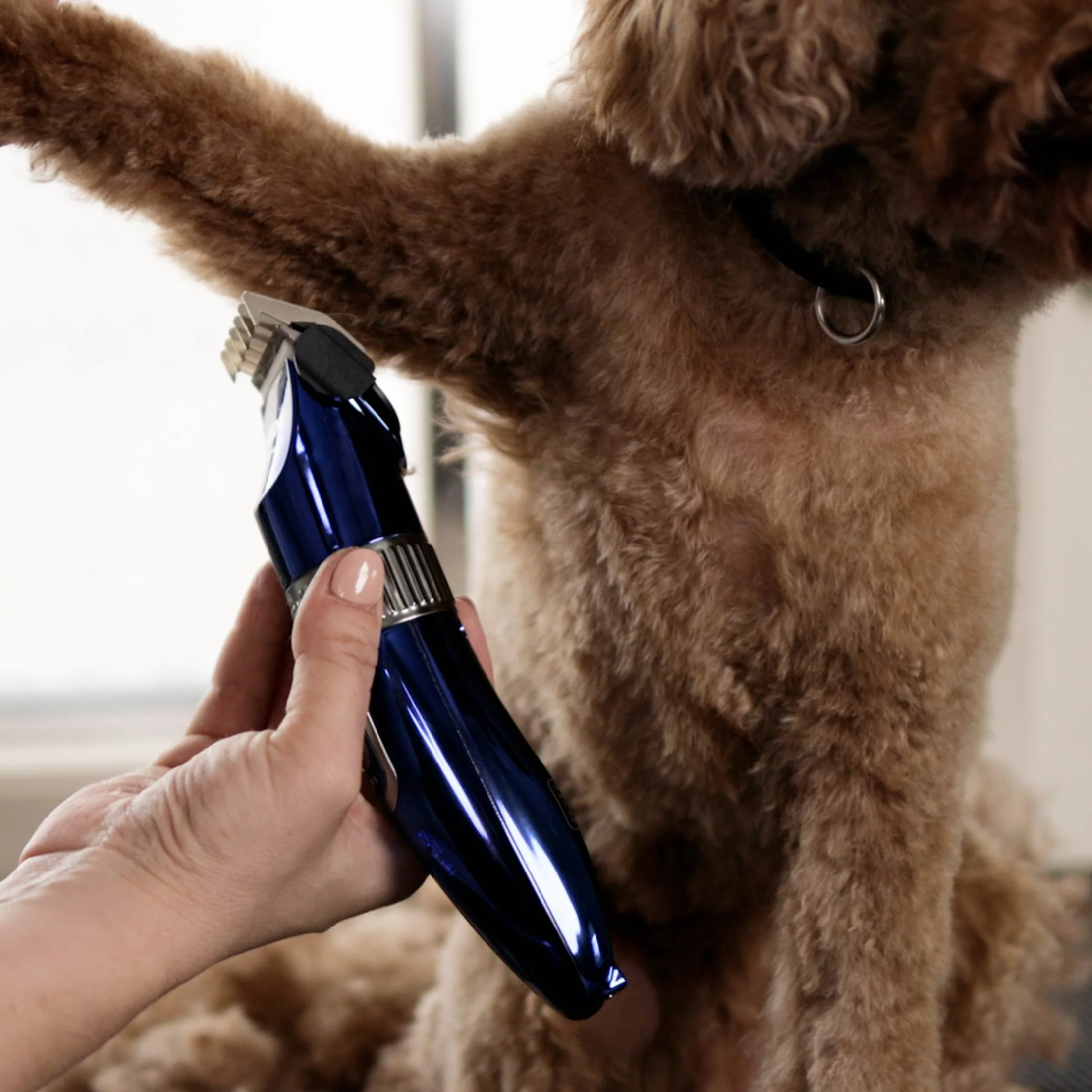Deluxe Waterproof Dog Clipper - Image 3