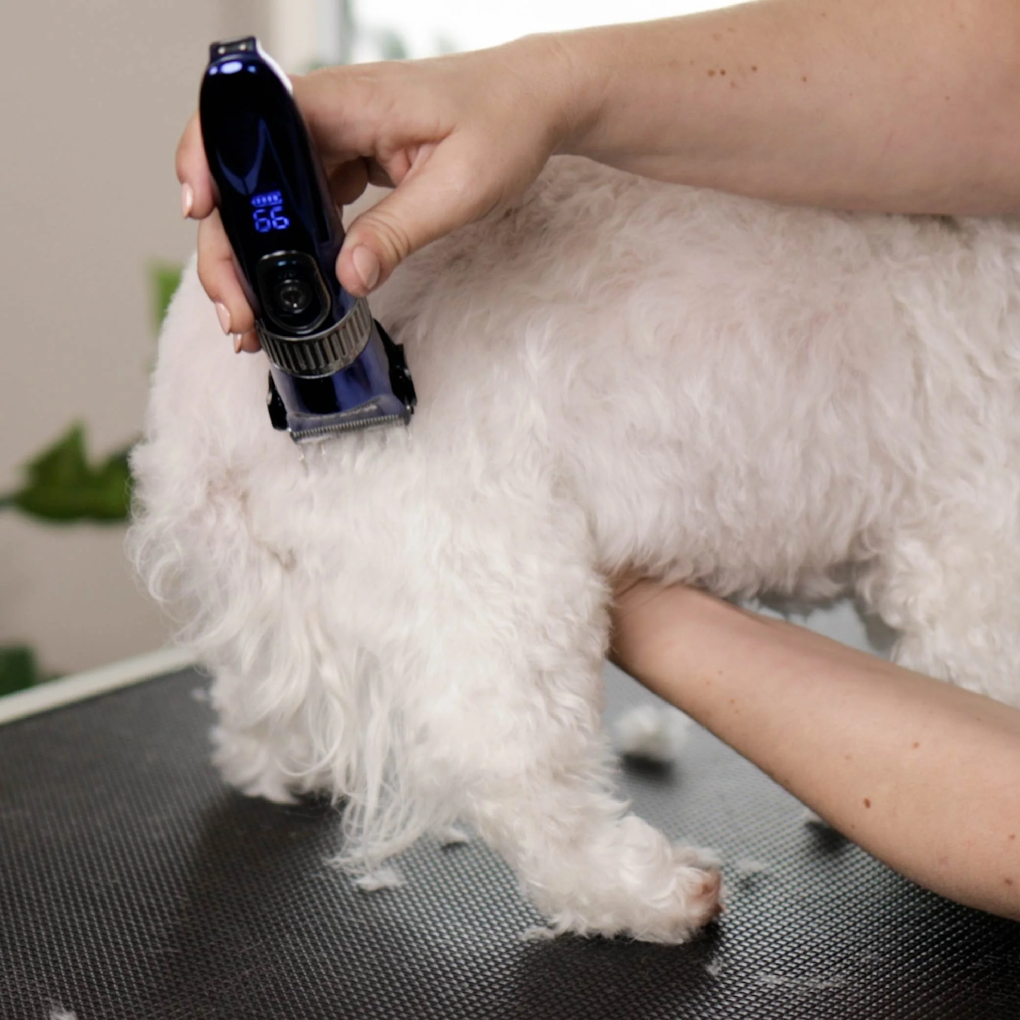 Deluxe Waterproof Dog Clipper - Image 4