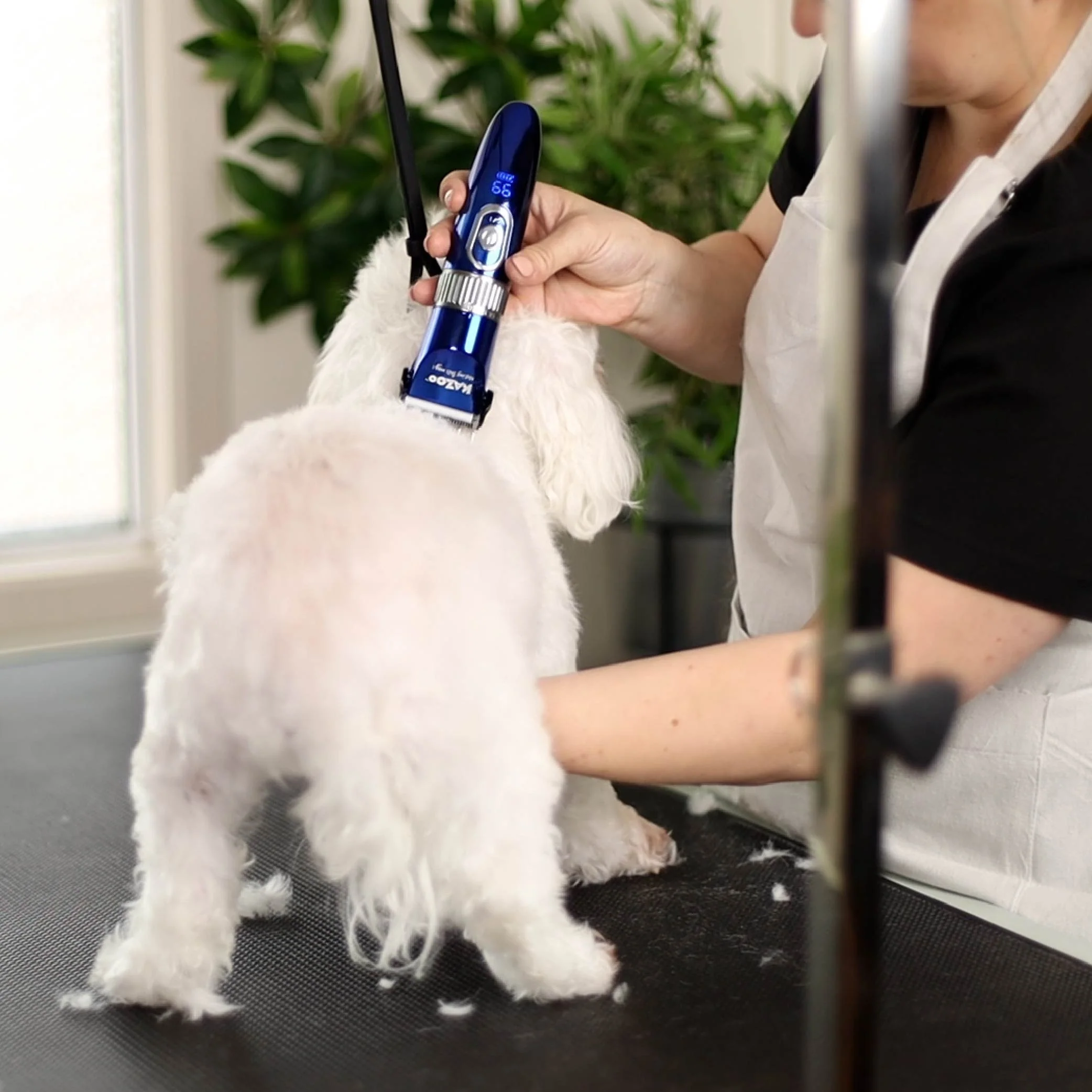 Deluxe Waterproof Dog Clipper - Image 5