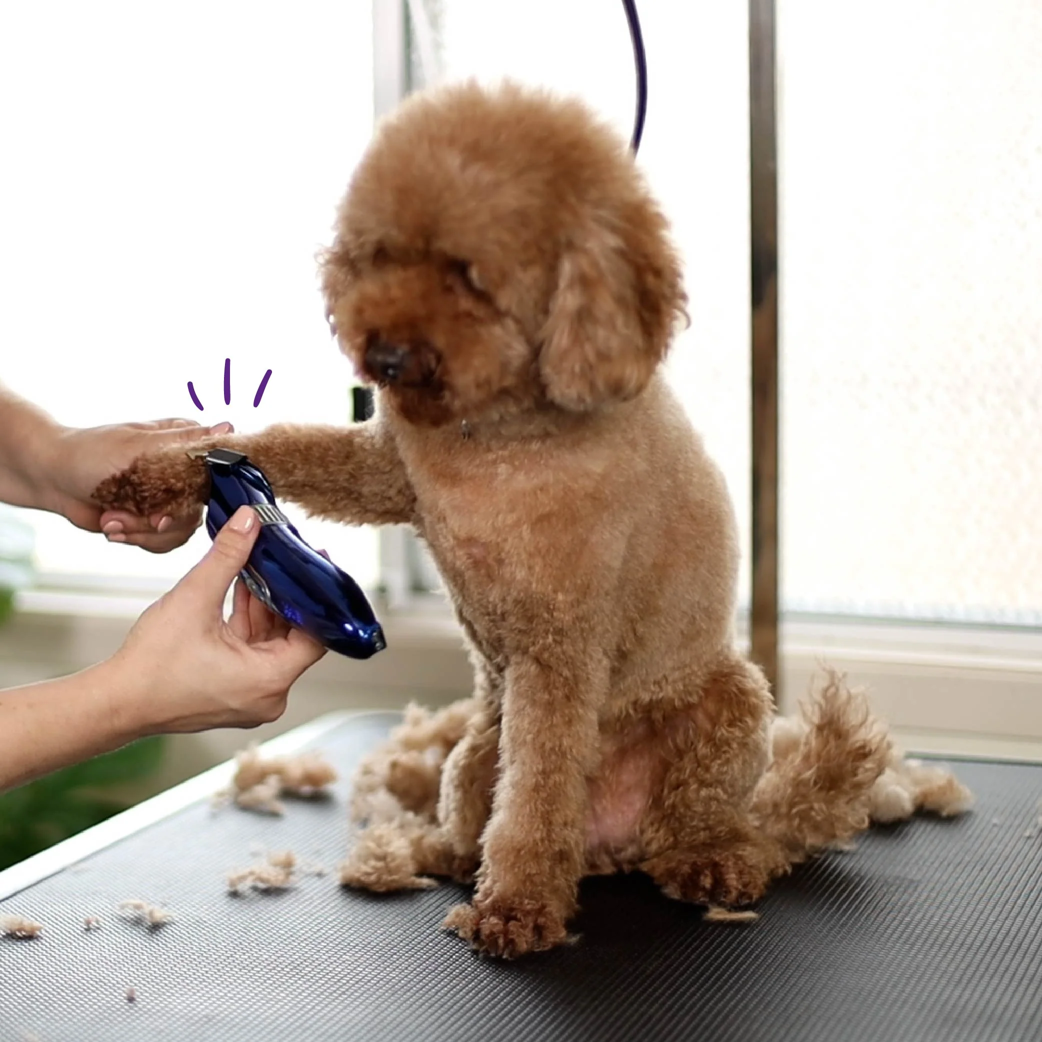 Deluxe Waterproof Dog Clipper - Image 6